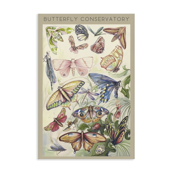Stupell Industries Eclectic Butterfly Conservatory Insects Canvas Art, 16 x 24, by Diannart