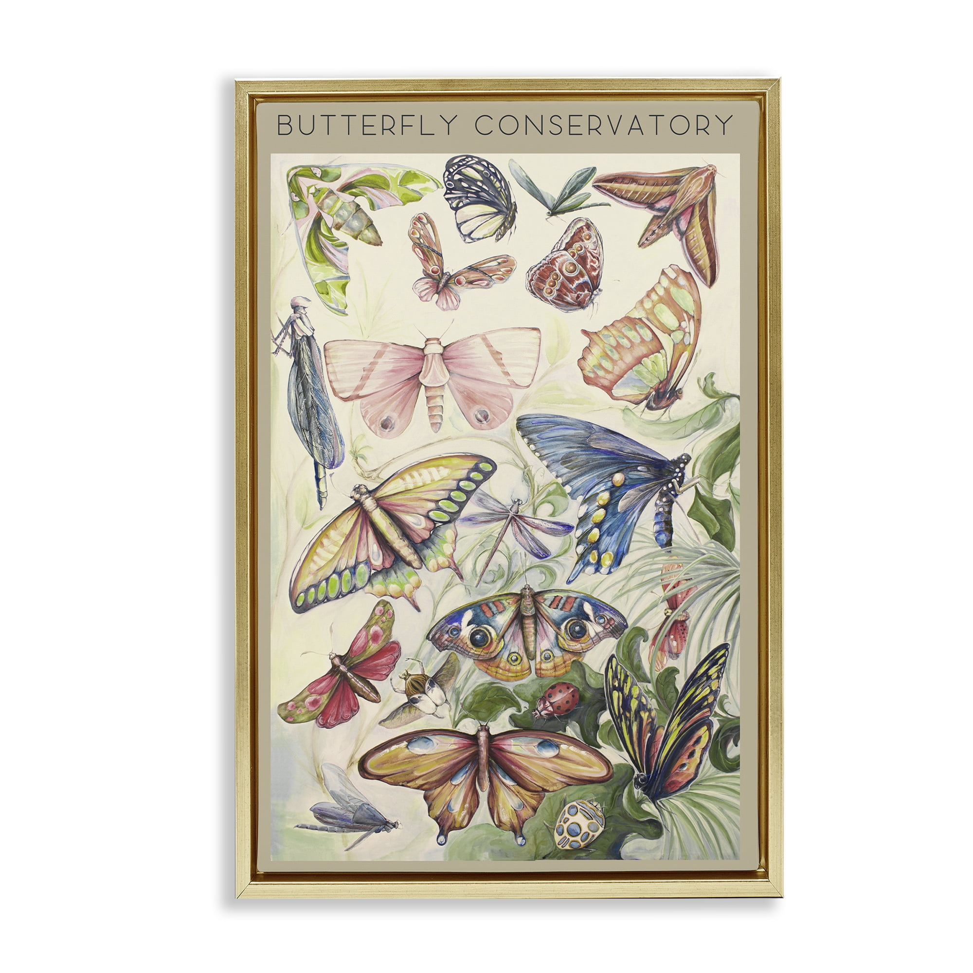 Stupell Industries Butterfly Conservatory Insects Gold Framed Floater Canvas Wall Art, design by Diannart