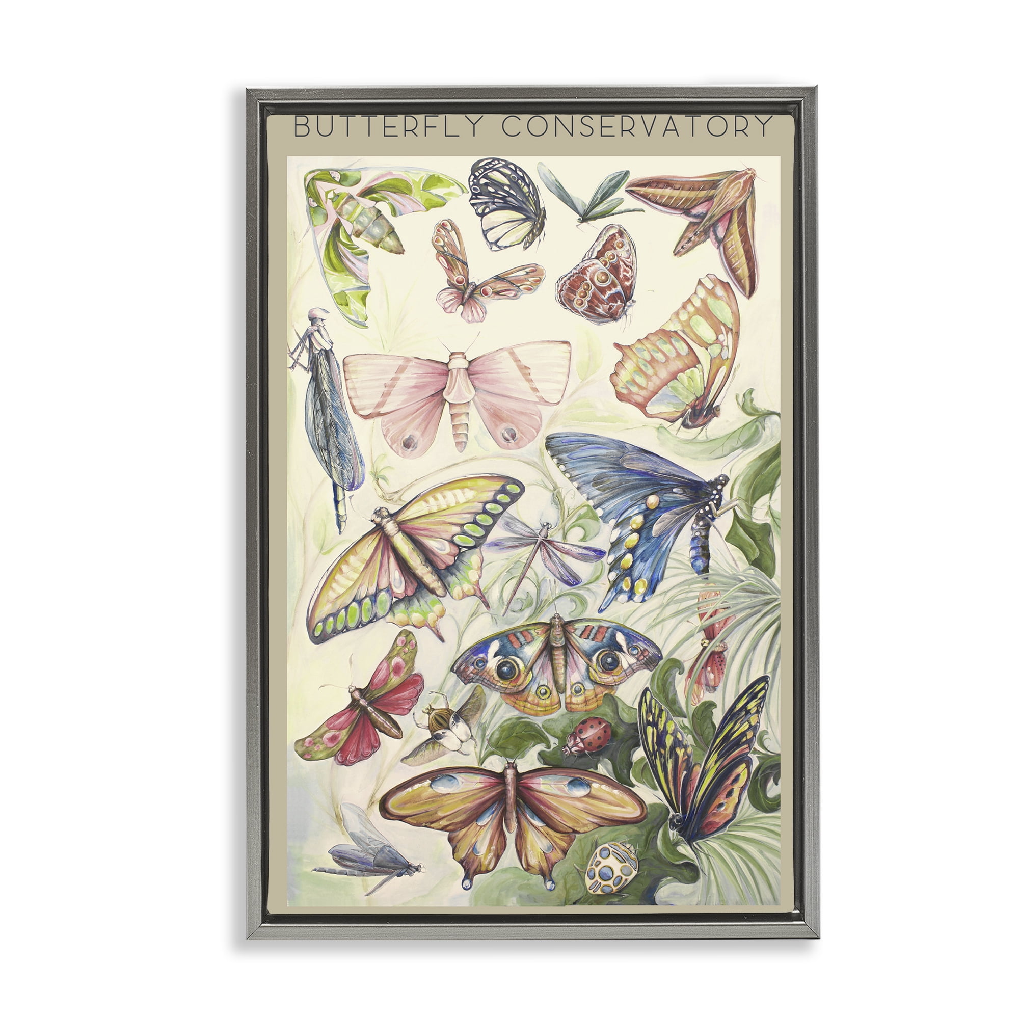 Stupell Industries Butterfly Conservatory Insects Gray Framed Floater Canvas Wall Art, design by Diannart