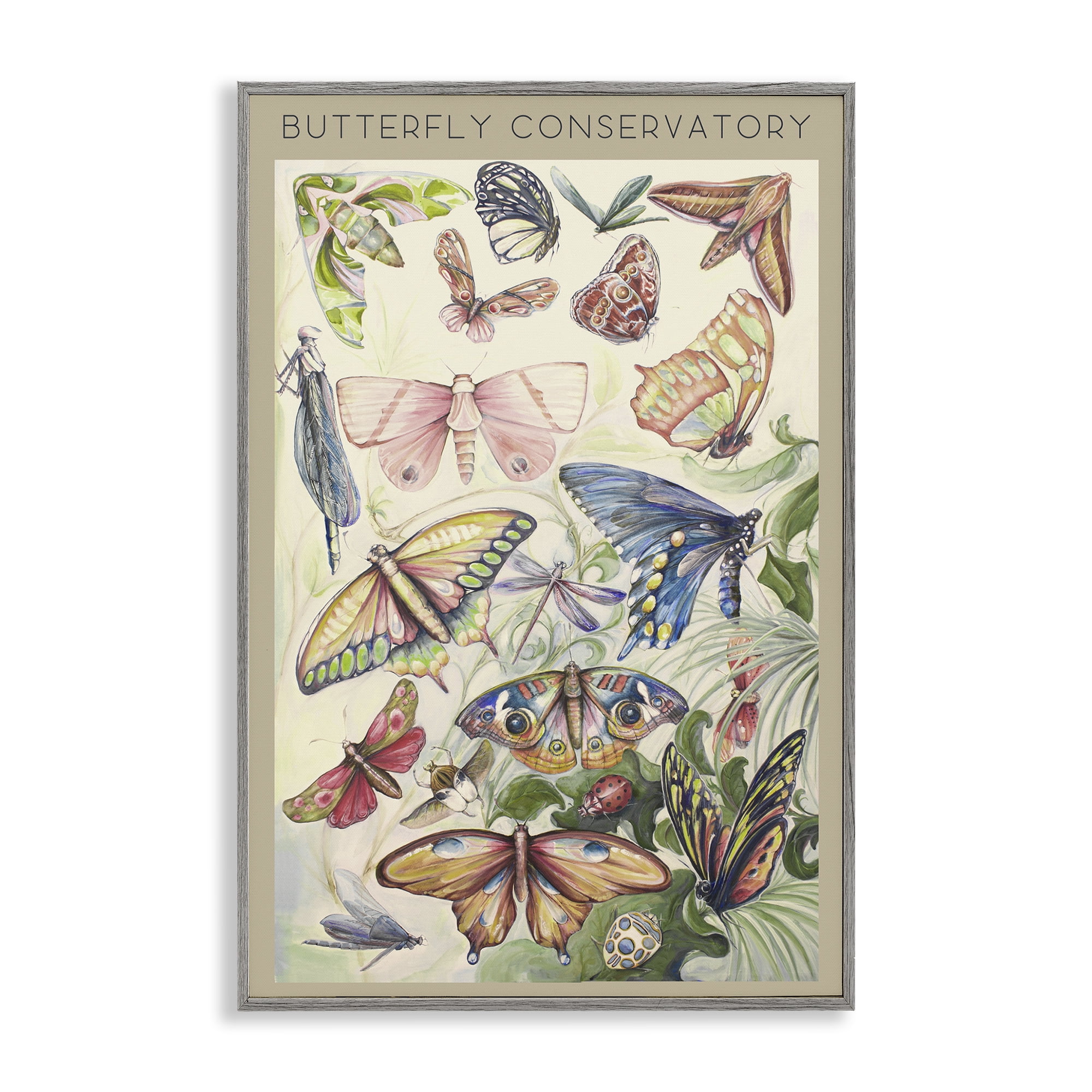 Stupell Industries Butterfly Conservatory Insects Gray Framed Giclee Art, design by Diannart