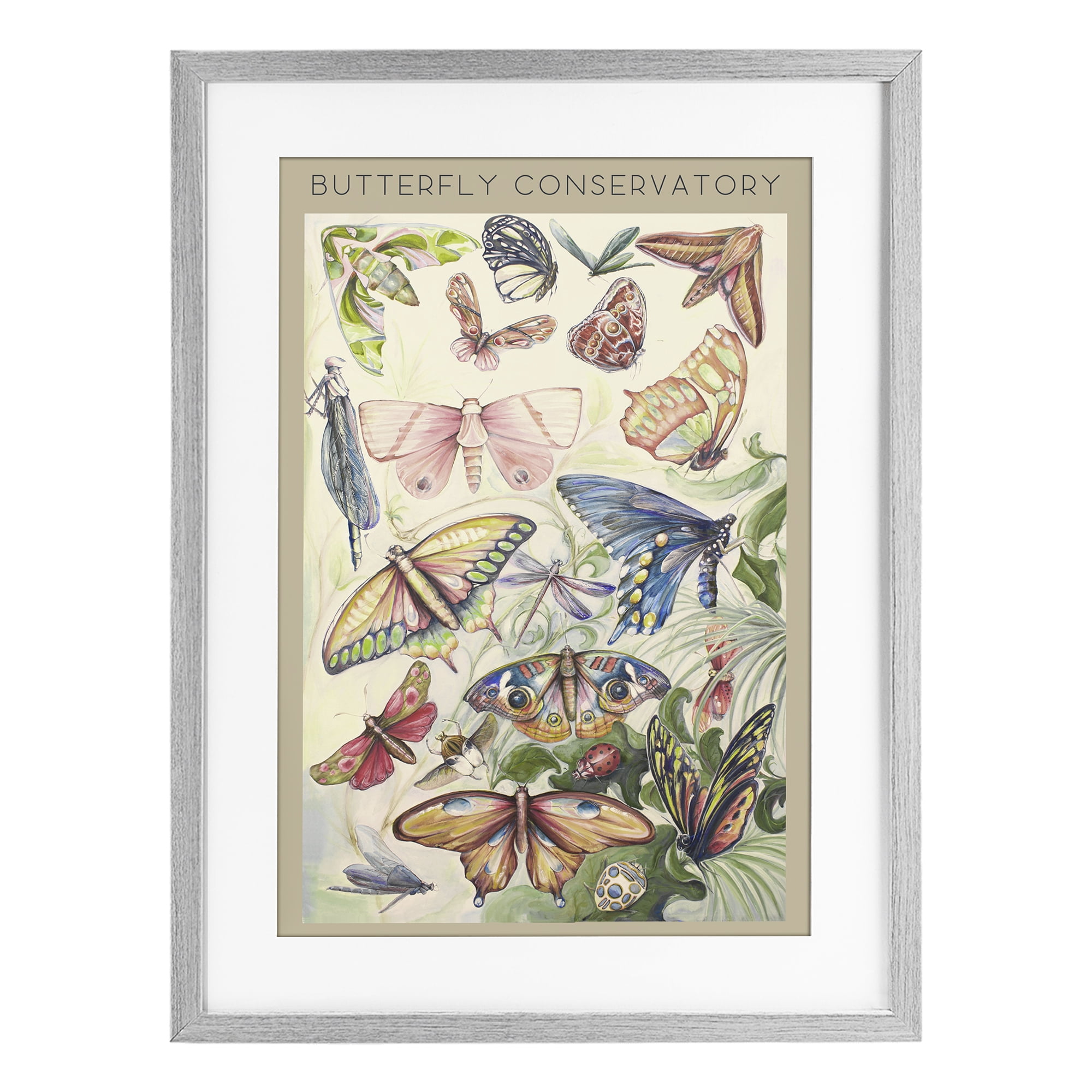 Stupell Industries Butterfly Conservatory Insects Gray Framed Print Under Glass, design by Diannart