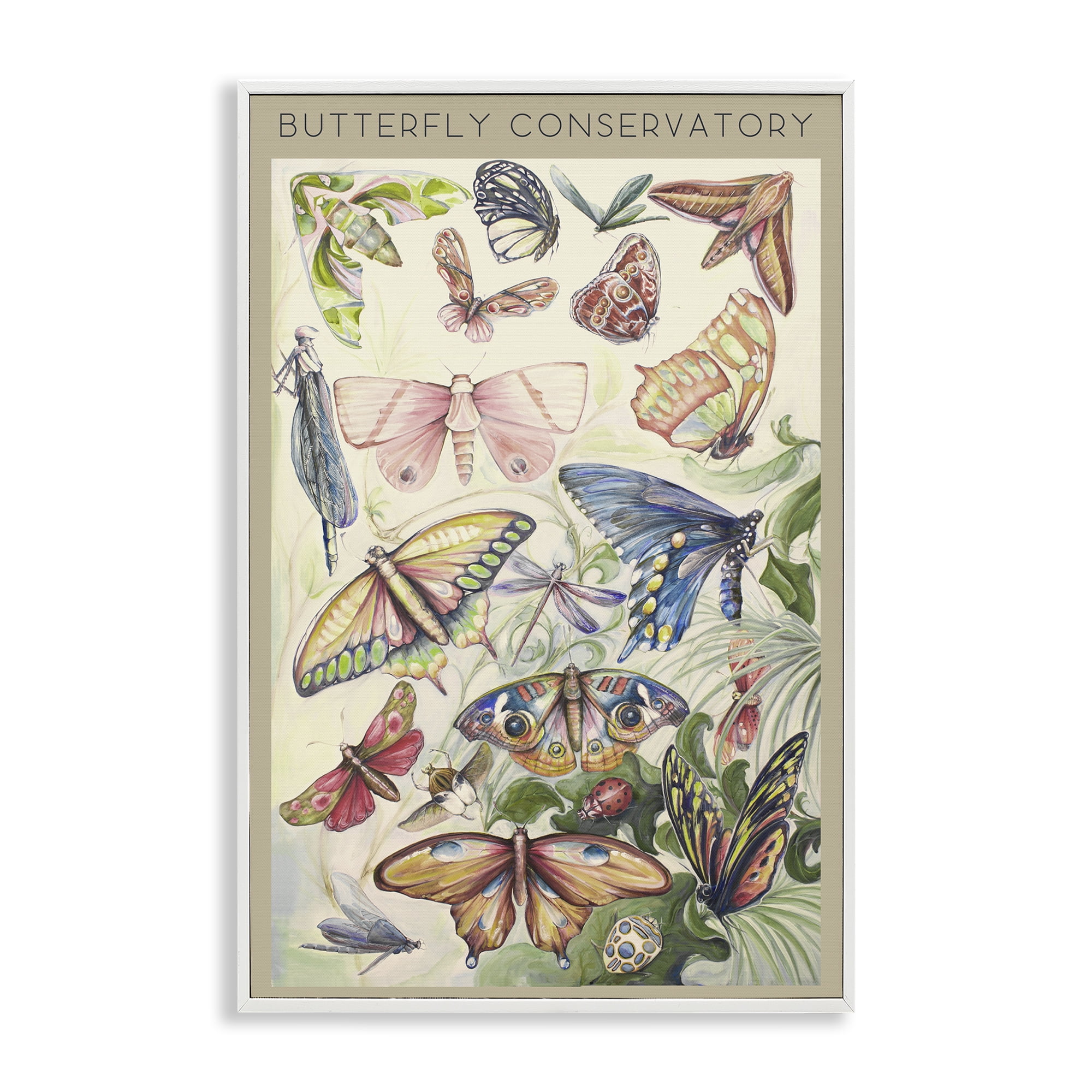 Stupell Industries Butterfly Conservatory Insects White Framed Giclee Art, design by Diannart