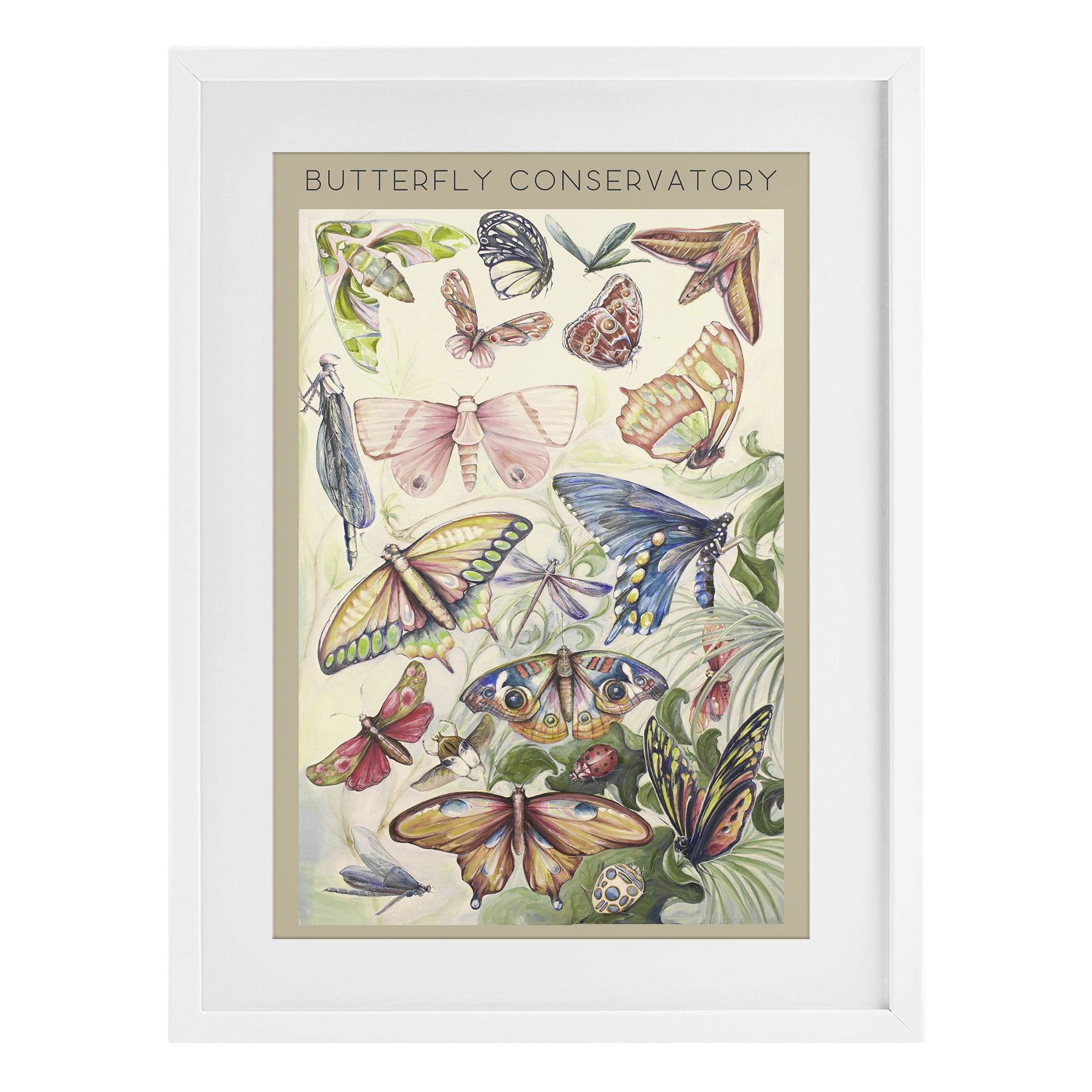 Stupell Industries Butterfly Conservatory Insects White Framed Print Under Glass, design by Diannart