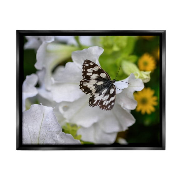 Stupell Industries Butterfly Geranium Blossom Photograph Jet Black Floating Framed Canvas Print Wall Art, Design by Daphne Polselli