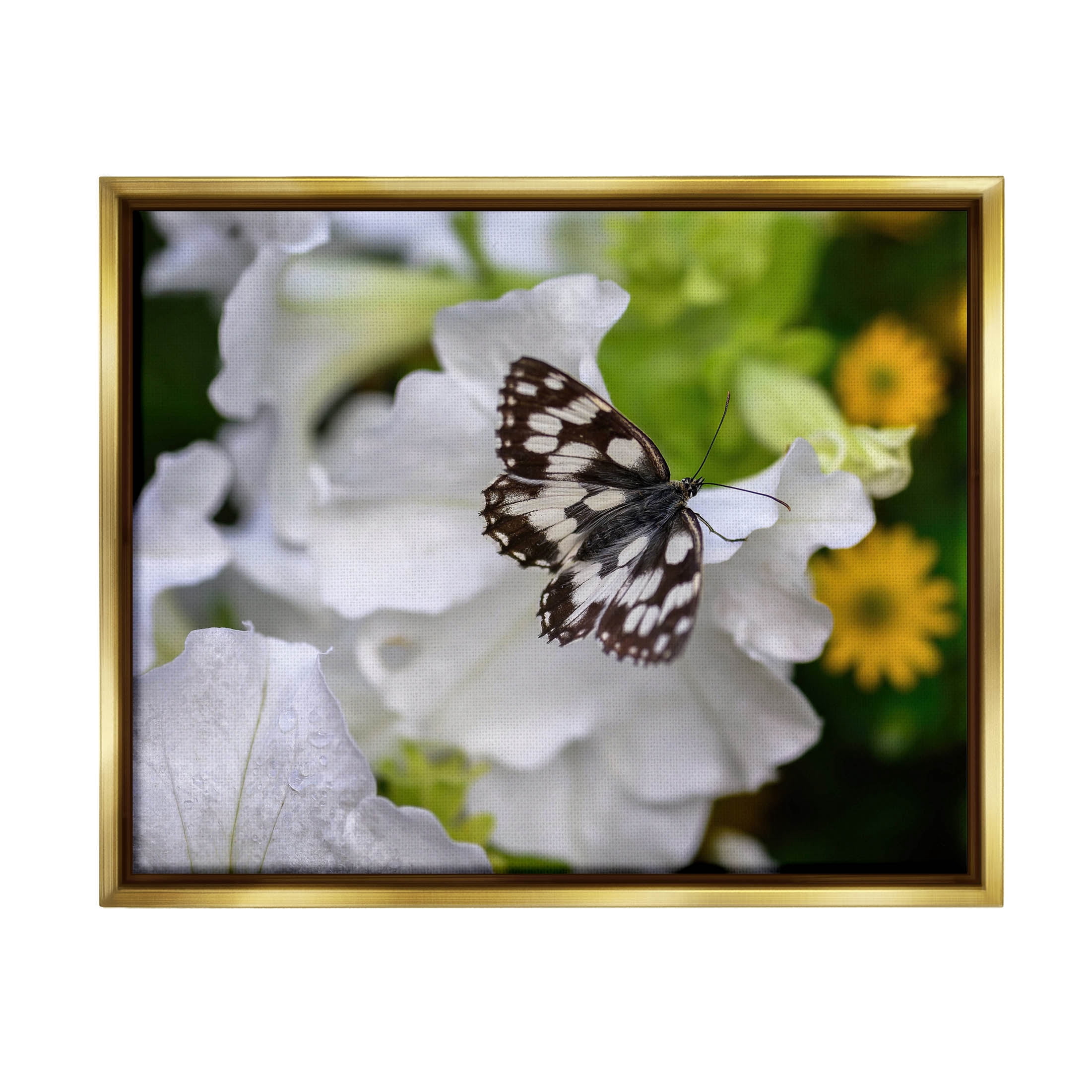 Stupell Industries Butterfly Geranium Blossom Photograph Metallic Gold Floating Framed Canvas Print Wall Art, Design by Daphne Polselli