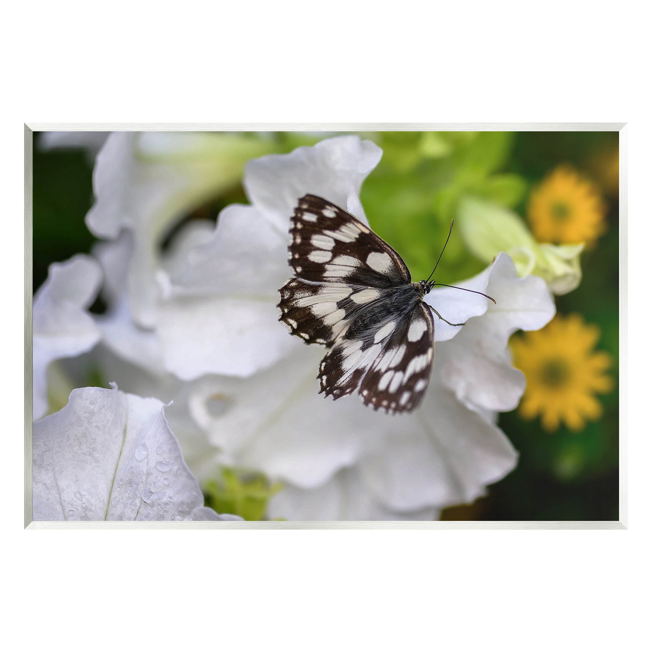Stupell Industries Butterfly Geranium Blossom Photograph Unframed Art Print Wall Art, Design by Daphne Polselli