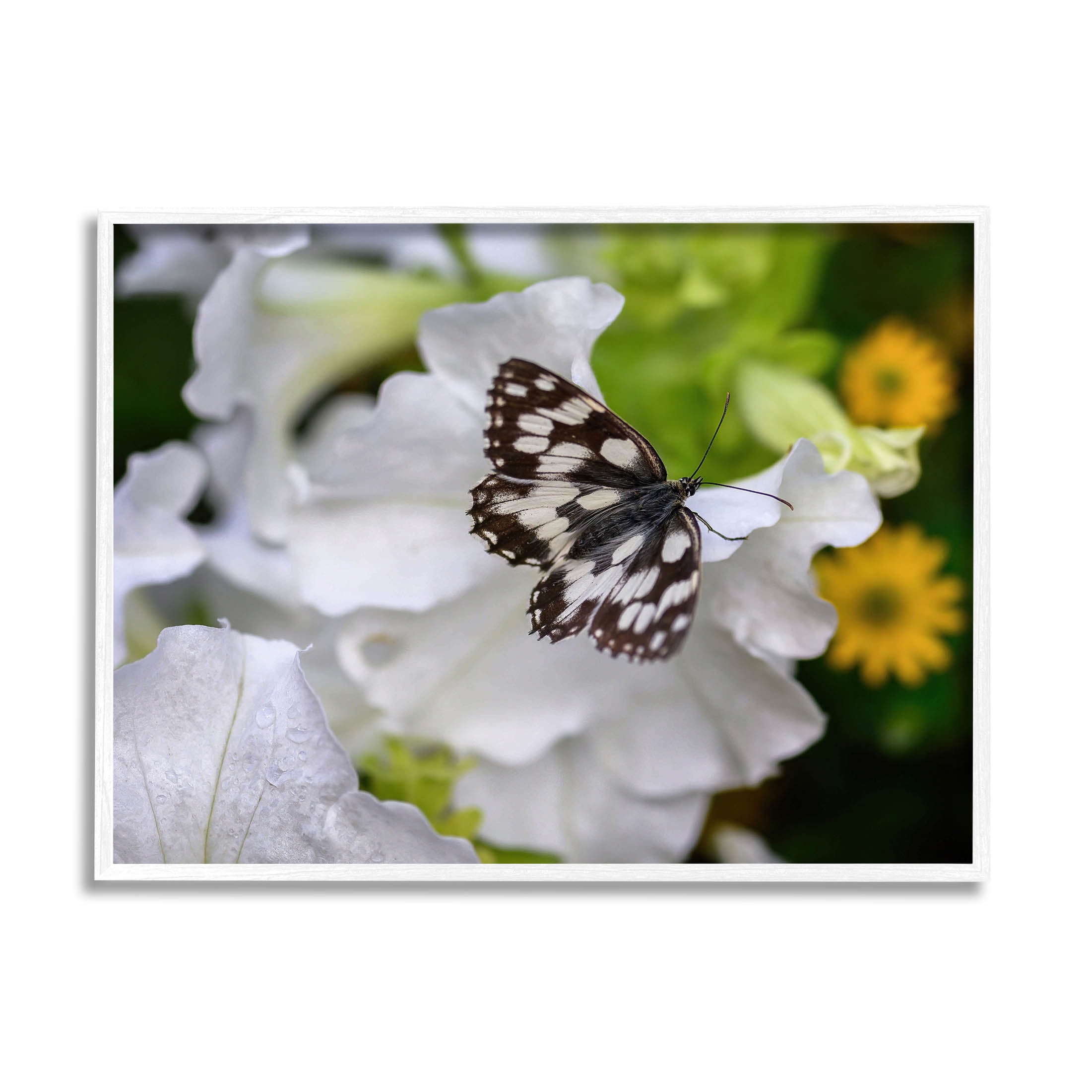 Stupell Industries Butterfly Geranium Blossom Photograph White Framed Art Print Wall Art, Design by Daphne Polselli
