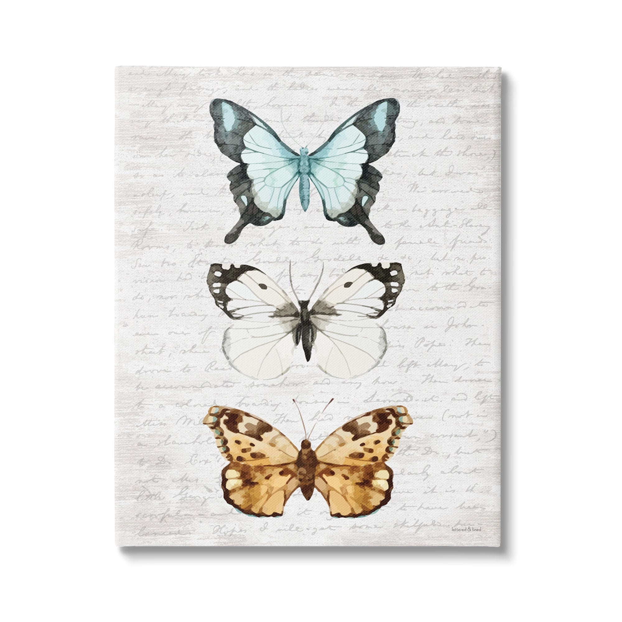 Stupell Industries Butterfly Insect Collection Vintage Scripture Text Pattern,16 x 20, Design by Lettered and Lined