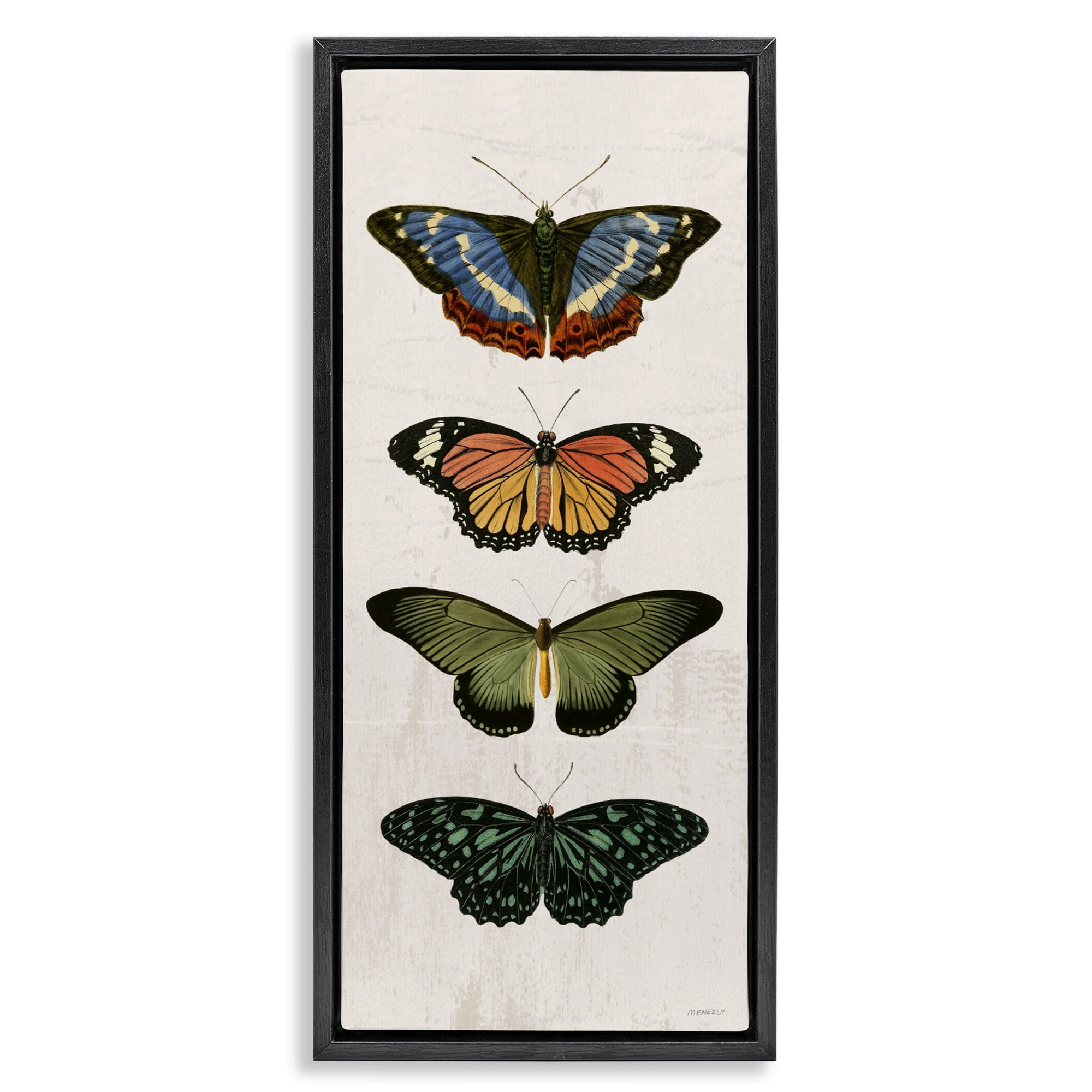 Stupell Industries Butterfly Lineup Vintage Black Framed Floater Canvas Wall Art, design by Dan Meneely