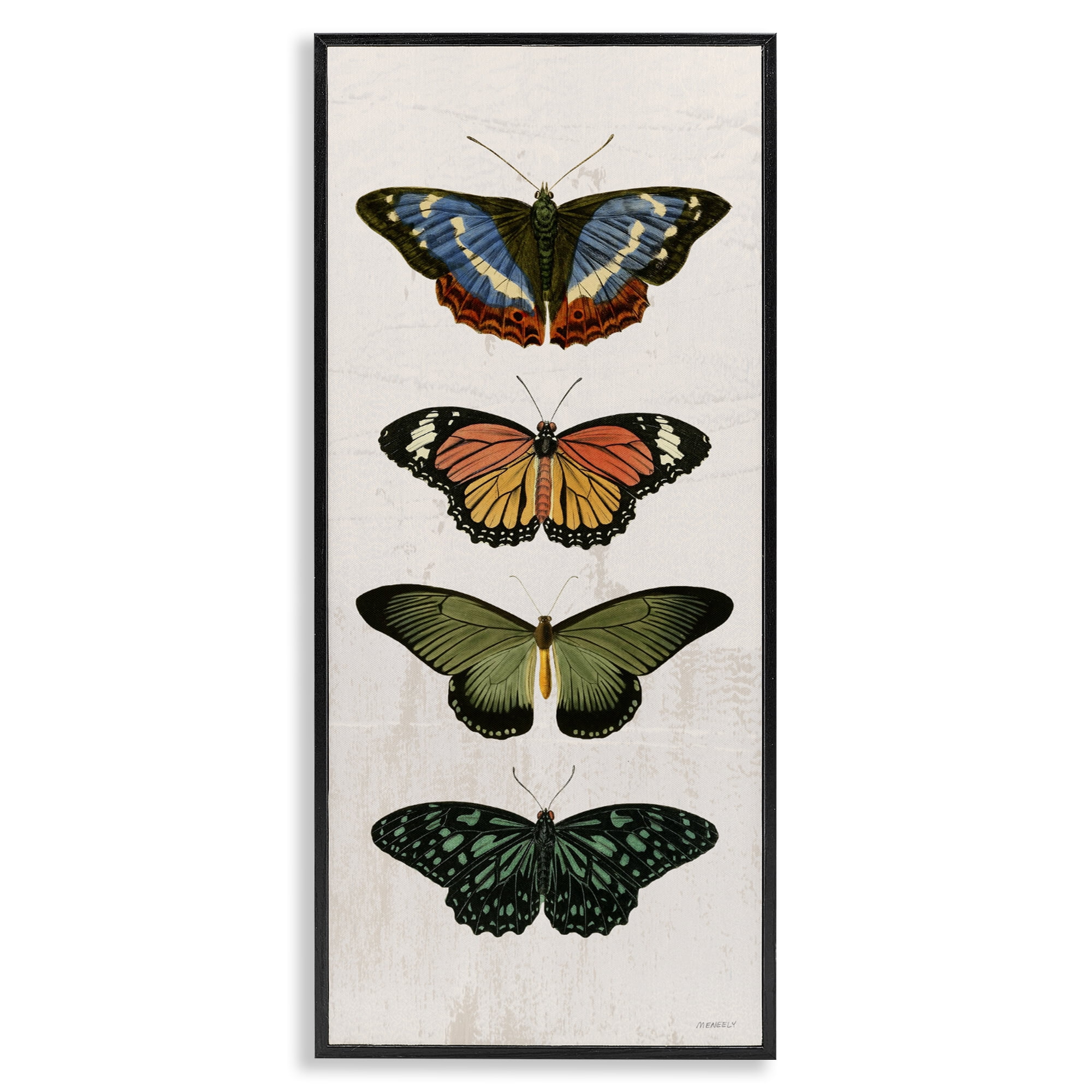 Stupell Industries Butterfly Lineup Vintage Black Framed Giclee Art, design by Dan Meneely