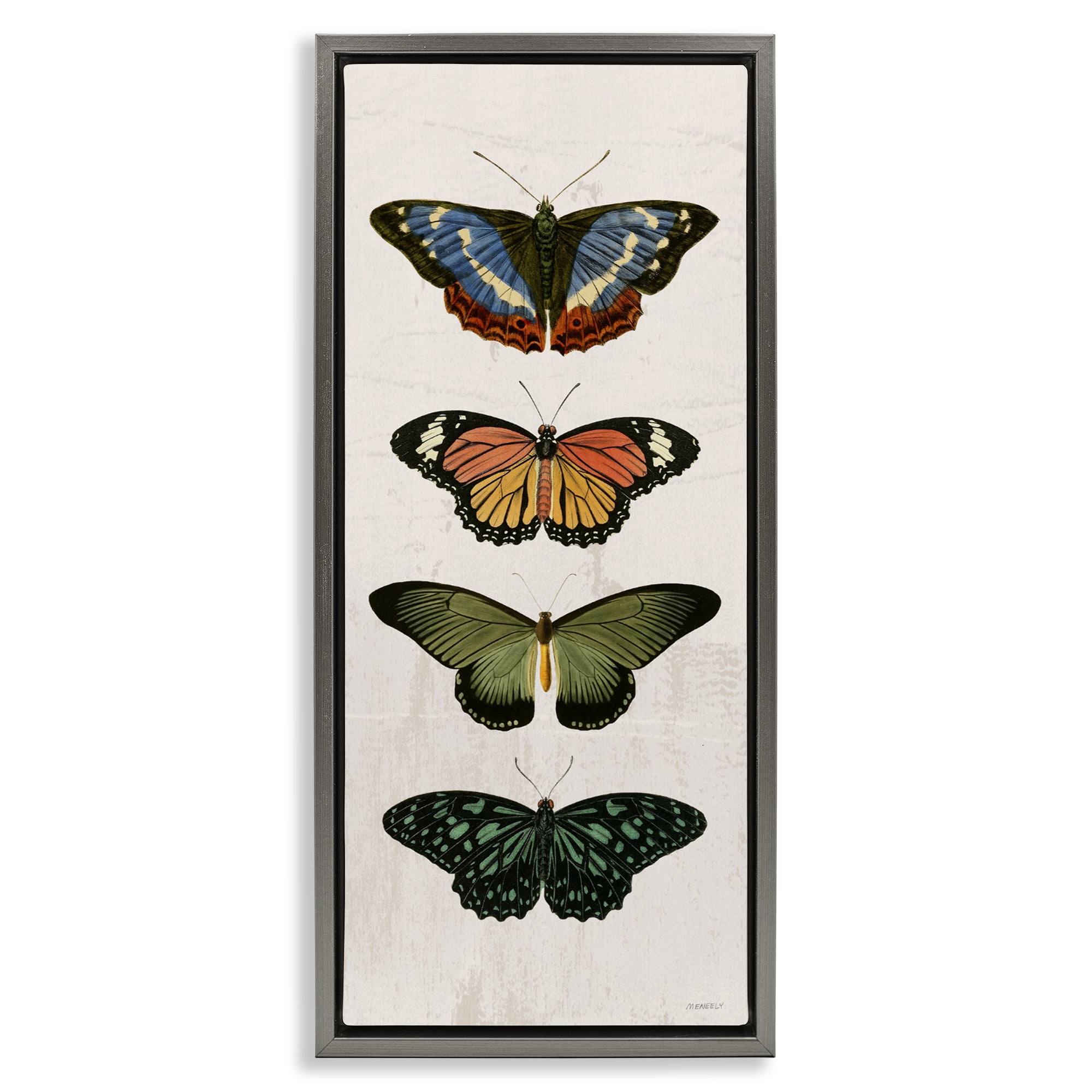 Stupell Industries Butterfly Lineup Vintage Gray Framed Floater Canvas Wall Art, design by Dan Meneely