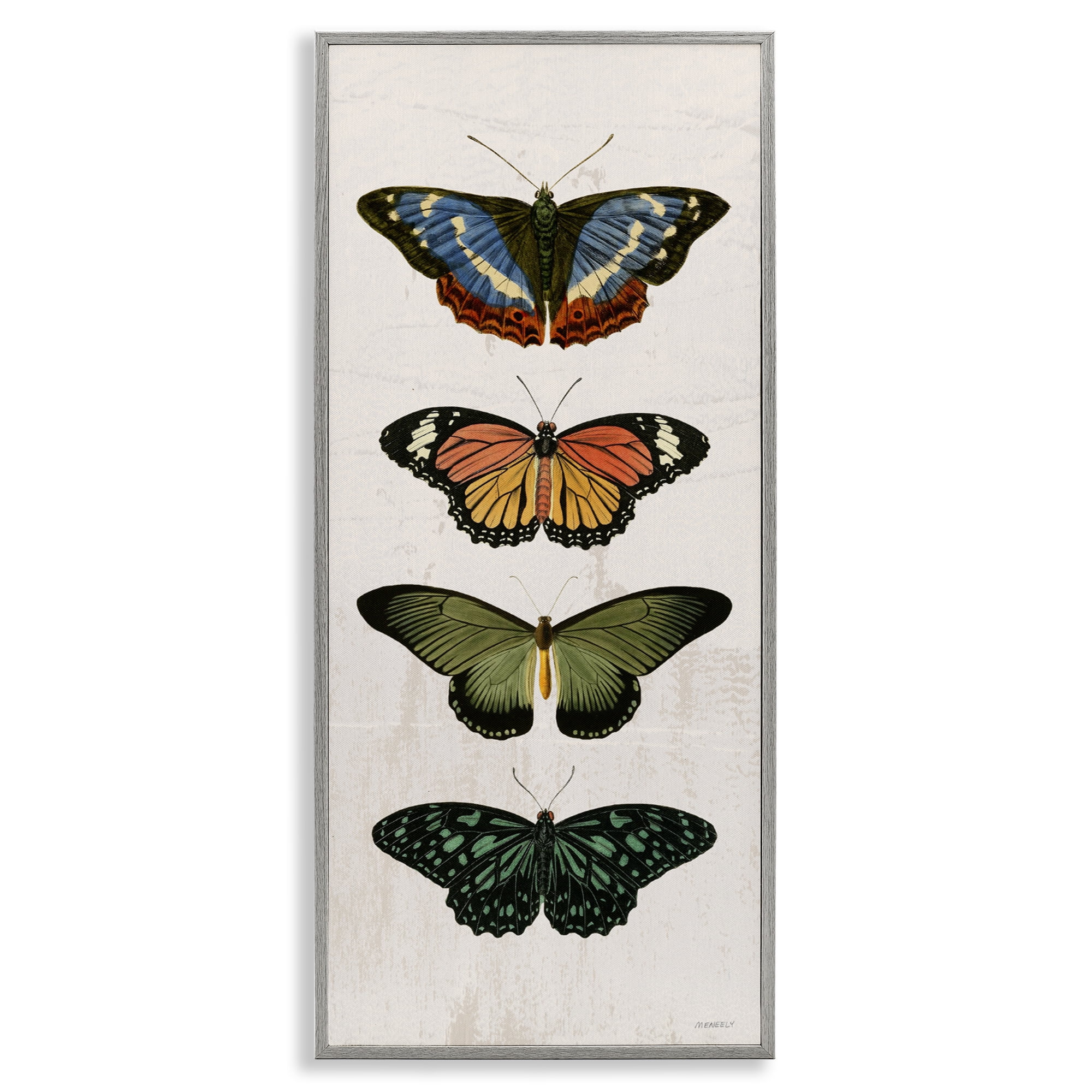 Stupell Industries Butterfly Lineup Vintage Gray Framed Giclee Art, design by Dan Meneely