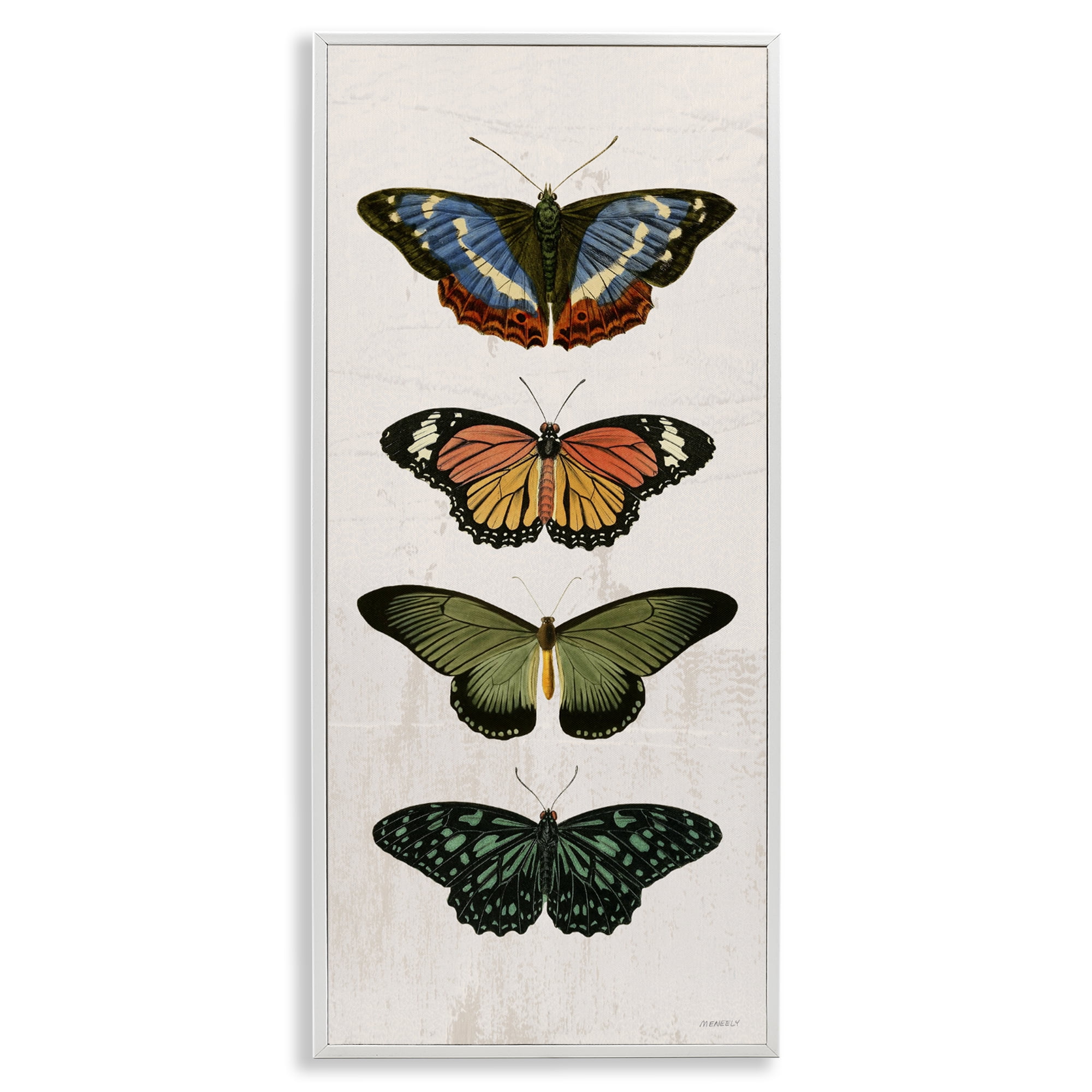 Stupell Industries Butterfly Lineup Vintage White Framed Giclee Art, design by Dan Meneely