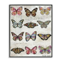 Stupell Industries Butterfly Love Vintage Studies Animals Painting Black Framed Art Print Wall Art, 11 x 14