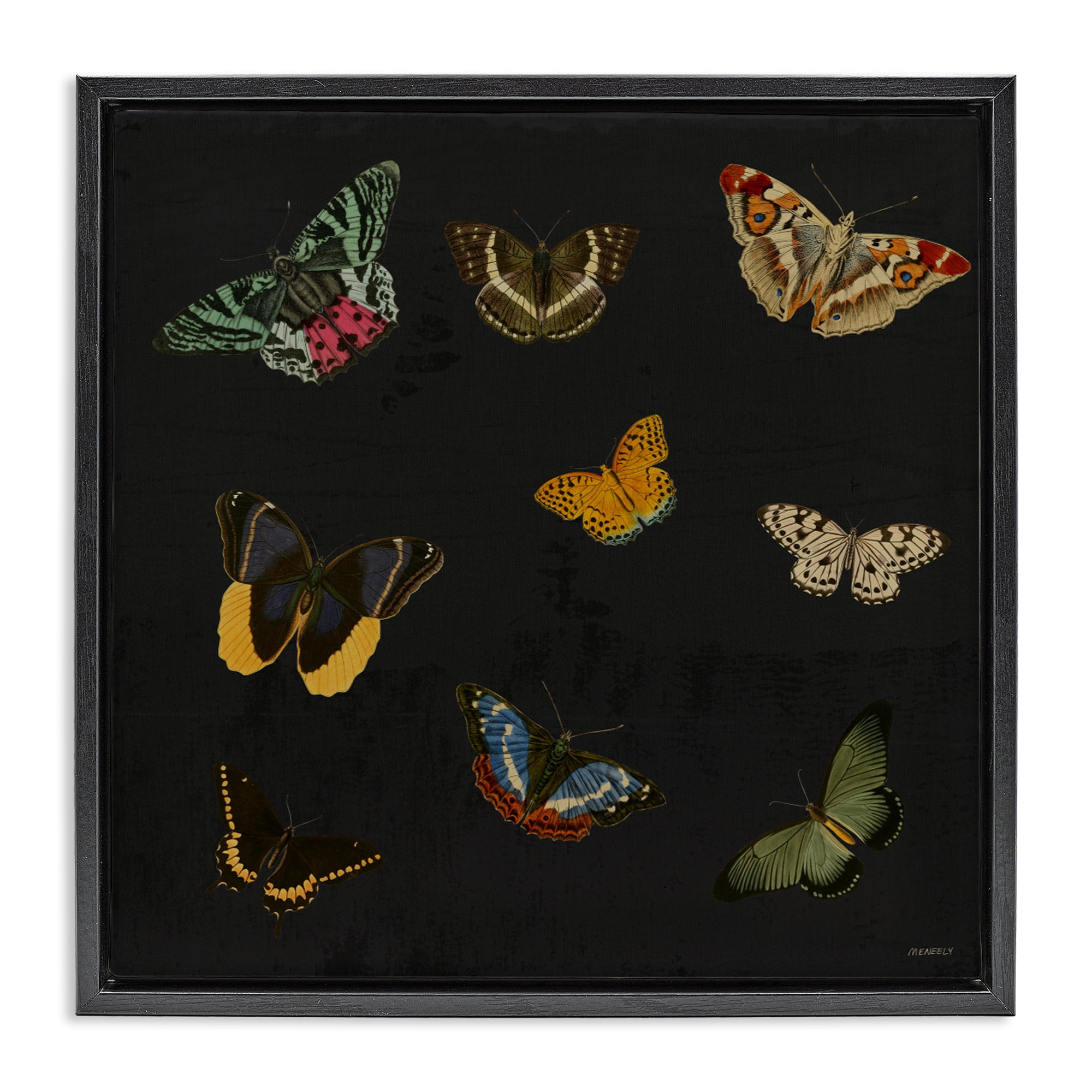 Stupell Industries Butterfly & Moth Collection Black Framed Floater Canvas Wall Art, design by Dan Meneely