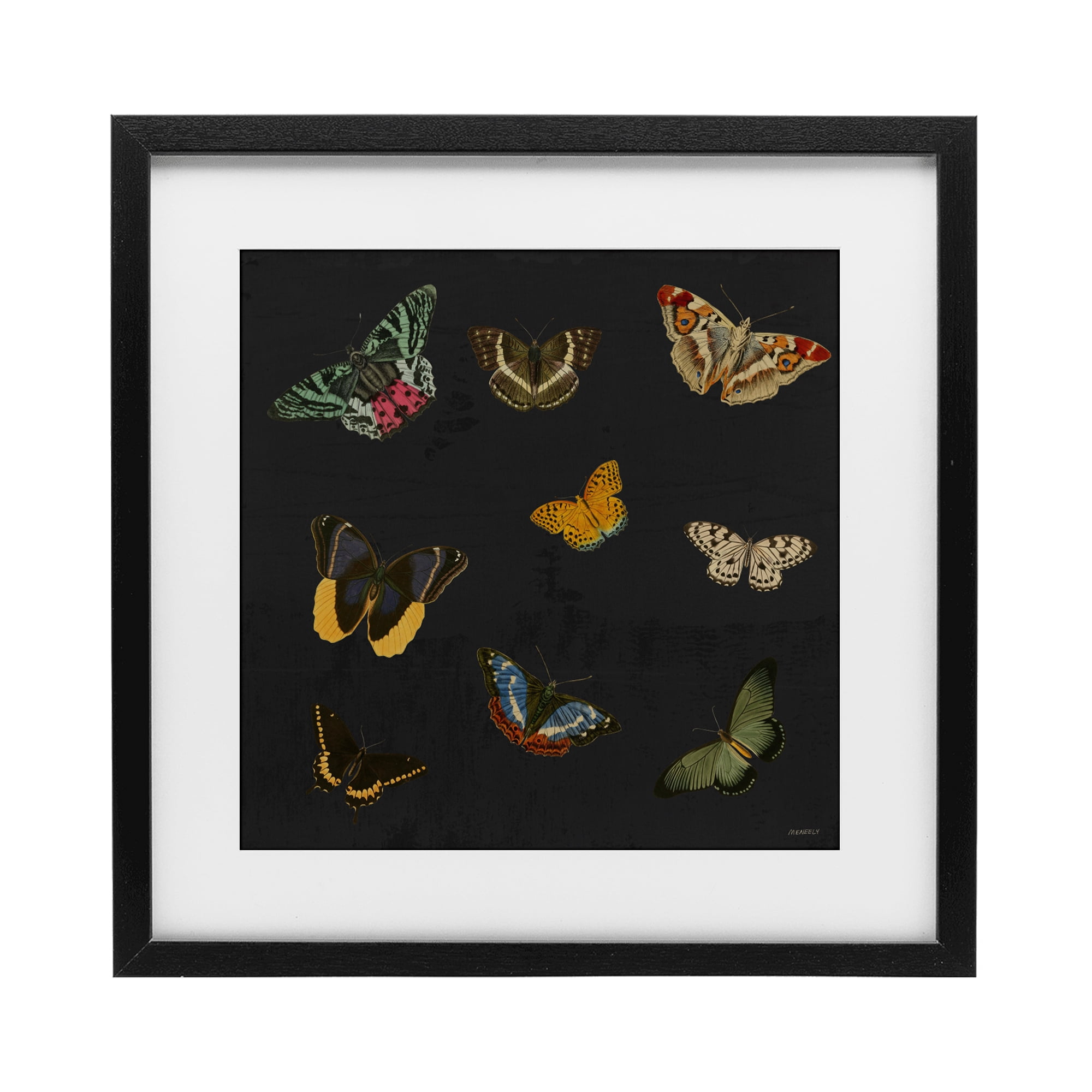 Stupell Industries Butterfly & Moth Collection Black Framed Print Under Glass, design by Dan Meneely