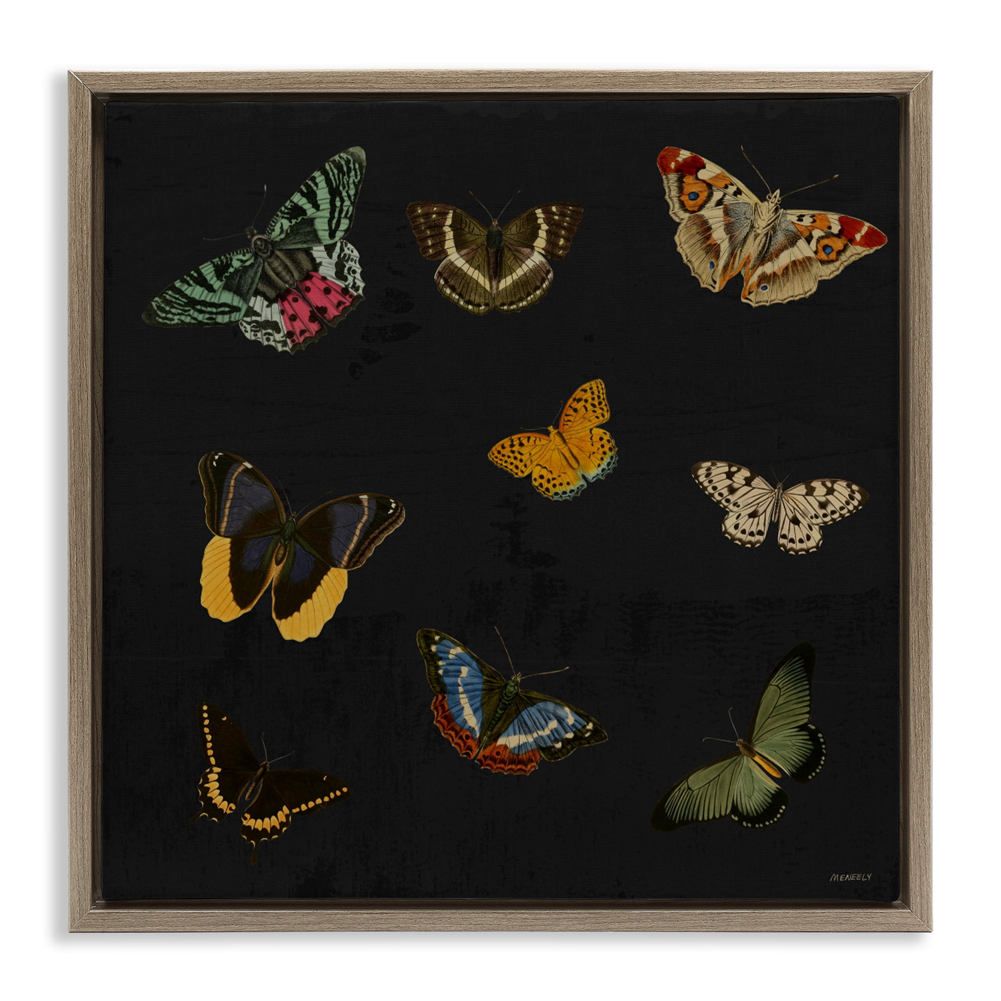 Stupell Industries Butterfly & Moth Collection Brown Framed Floater Canvas Wall Art, design by Dan Meneely