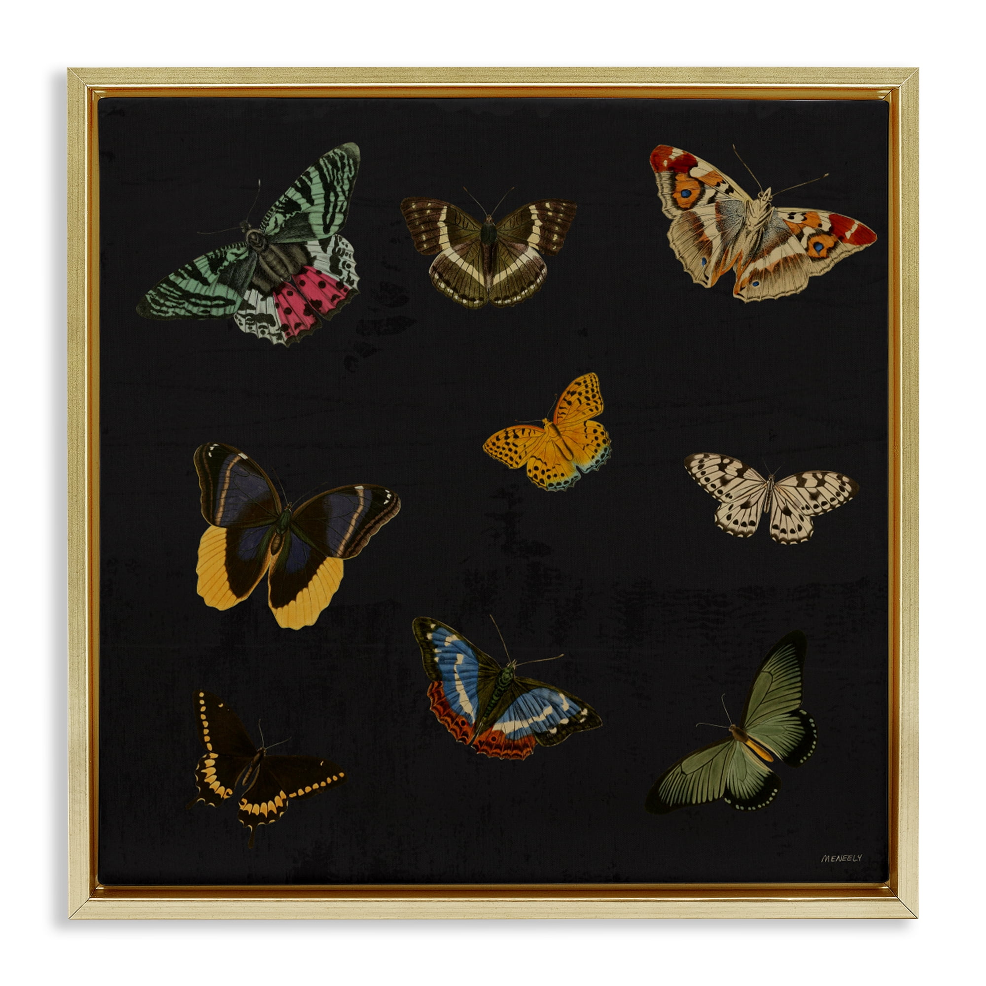 Stupell Industries Butterfly & Moth Collection Gold Framed Floater Canvas Wall Art, design by Dan Meneely