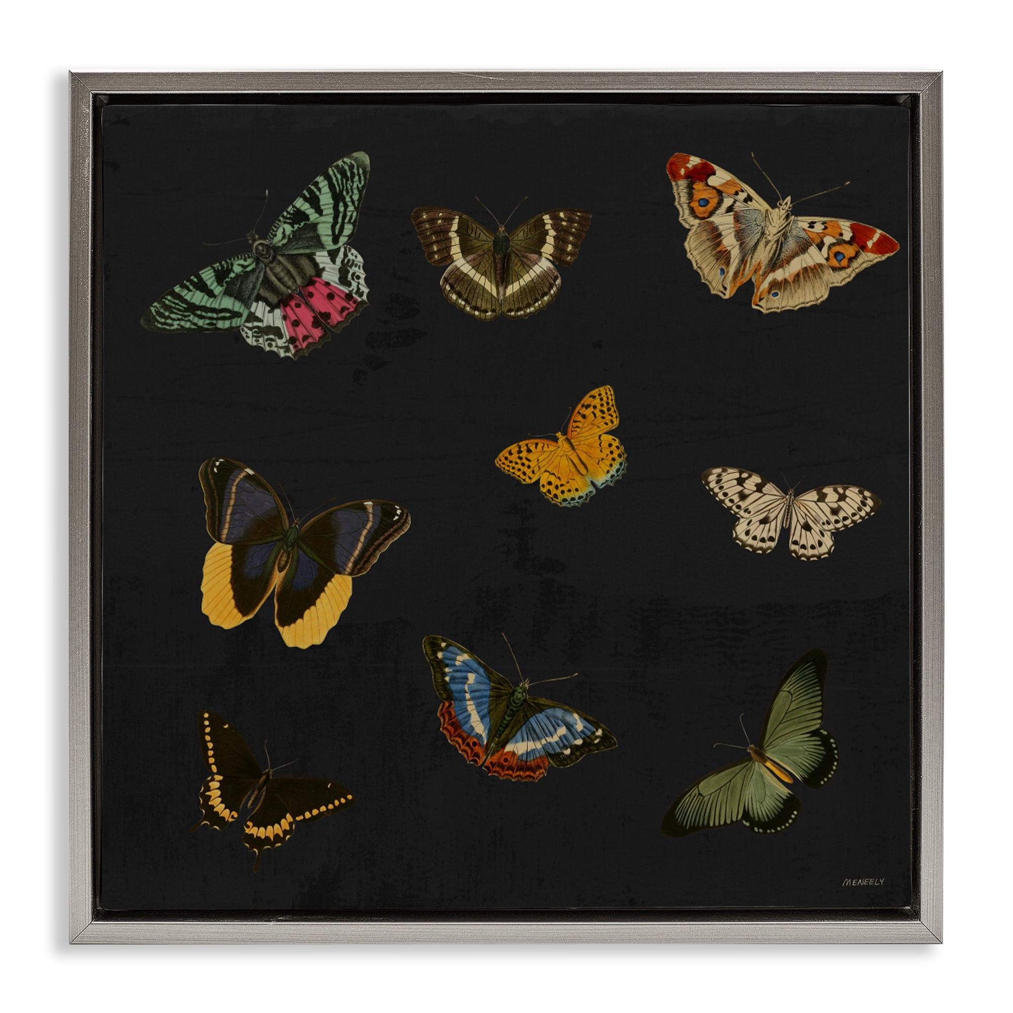 Stupell Industries Butterfly & Moth Collection Gray Framed Floater Canvas Wall Art, design by Dan Meneely