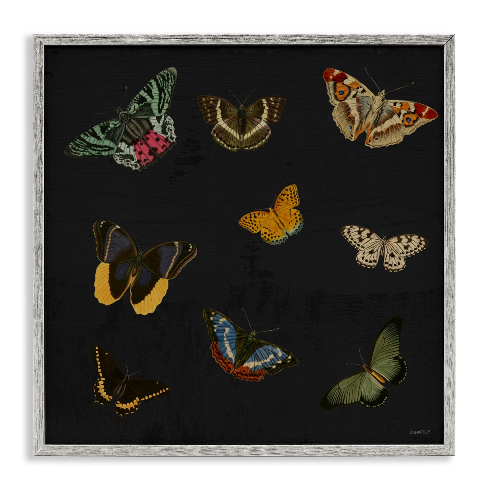 Stupell Industries Butterfly & Moth Collection Gray Framed Giclee Art, design by Dan Meneely