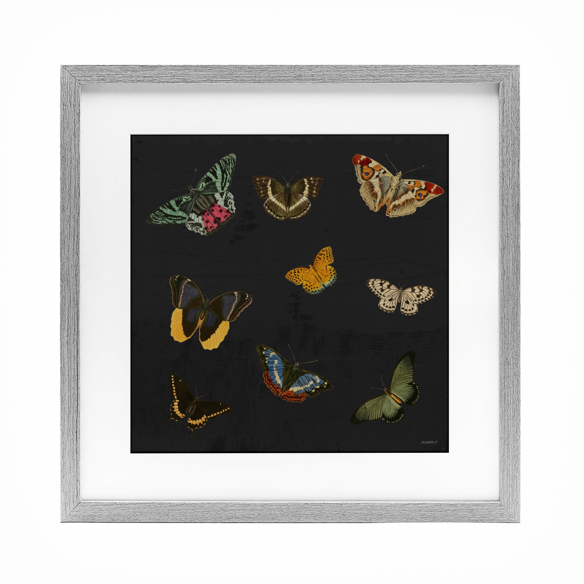 Stupell Industries Butterfly & Moth Collection Gray Framed Print Under Glass, design by Dan Meneely