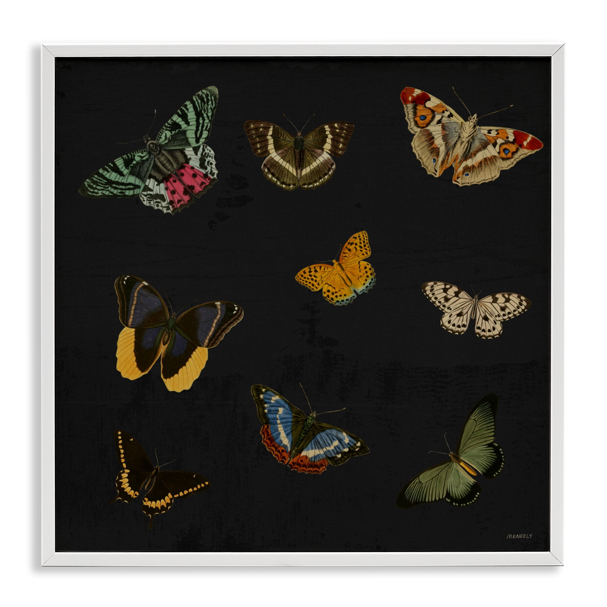 Stupell Industries Butterfly & Moth Collection White Framed Giclee Art, design by Dan Meneely