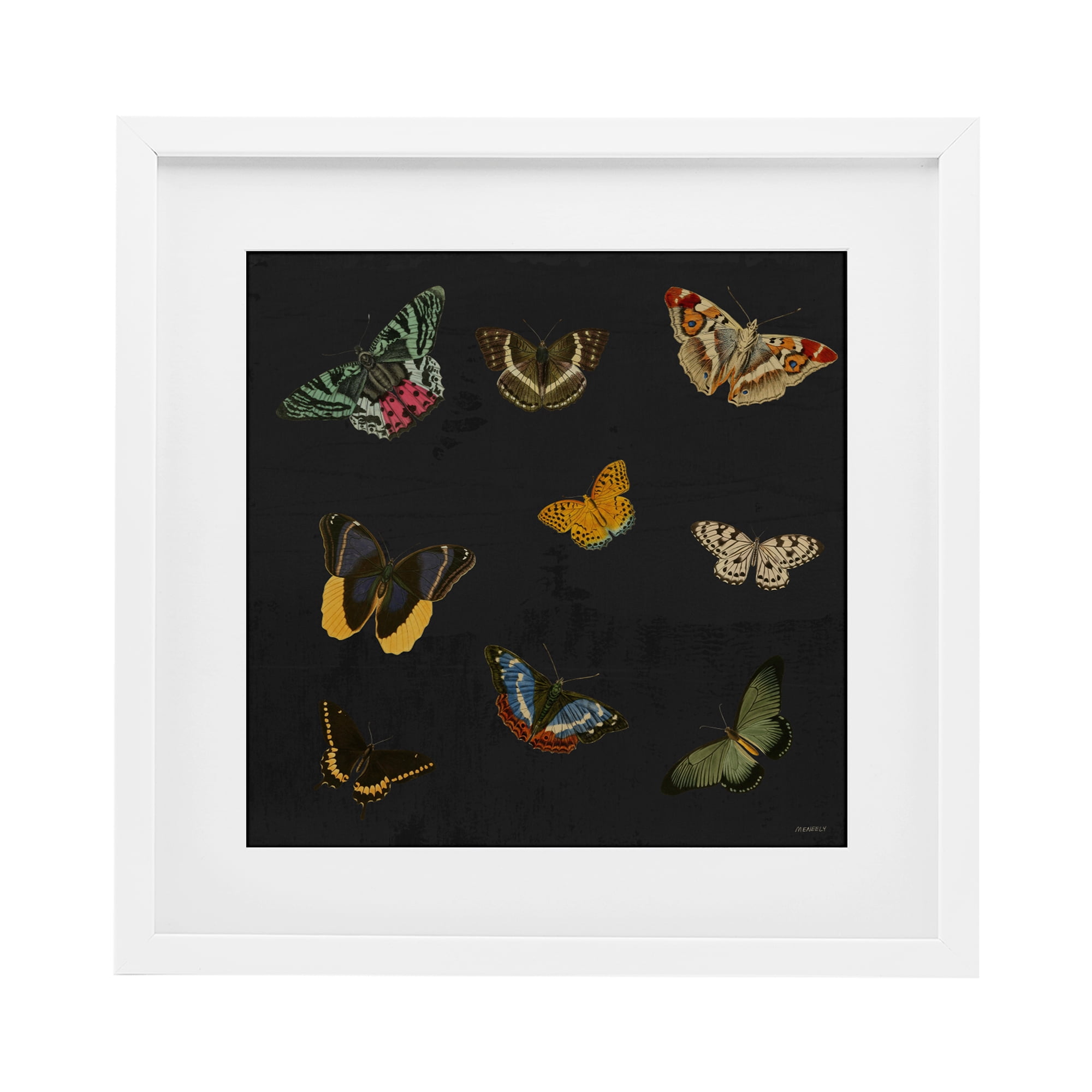 Stupell Industries Butterfly & Moth Collection White Framed Print Under Glass, design by Dan Meneely