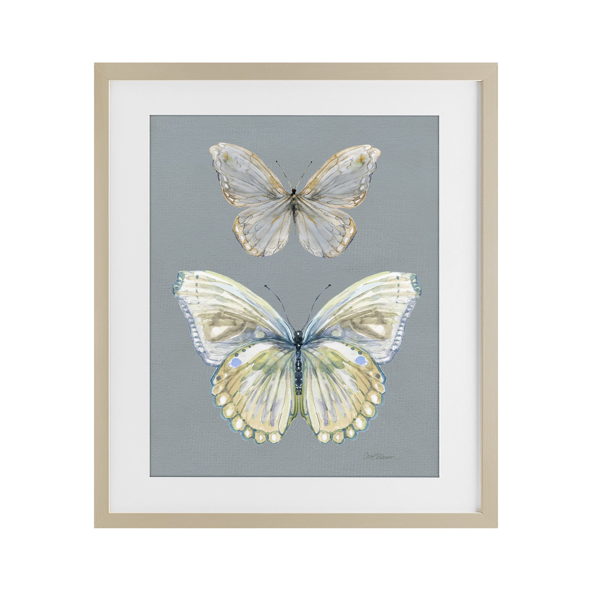 Stupell Industries Butterfly Pair Study Birch Framed Print Under Glass, design by Carol Robinson