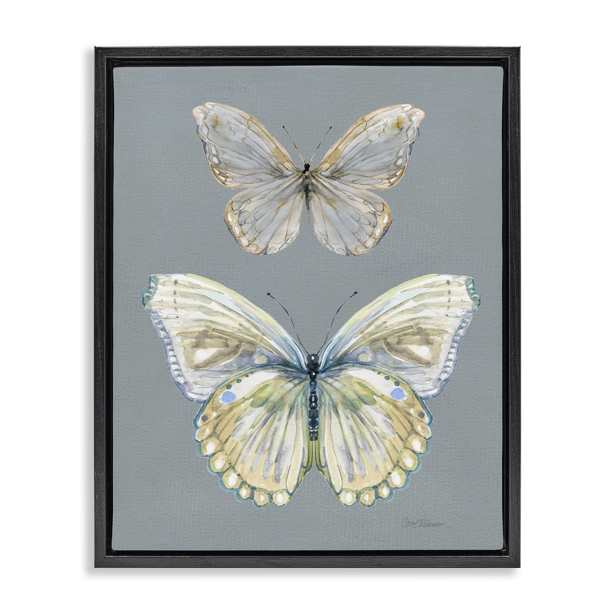 Stupell Industries Butterfly Pair Study Black Framed Floater Canvas Wall Art, design by Carol Robinson