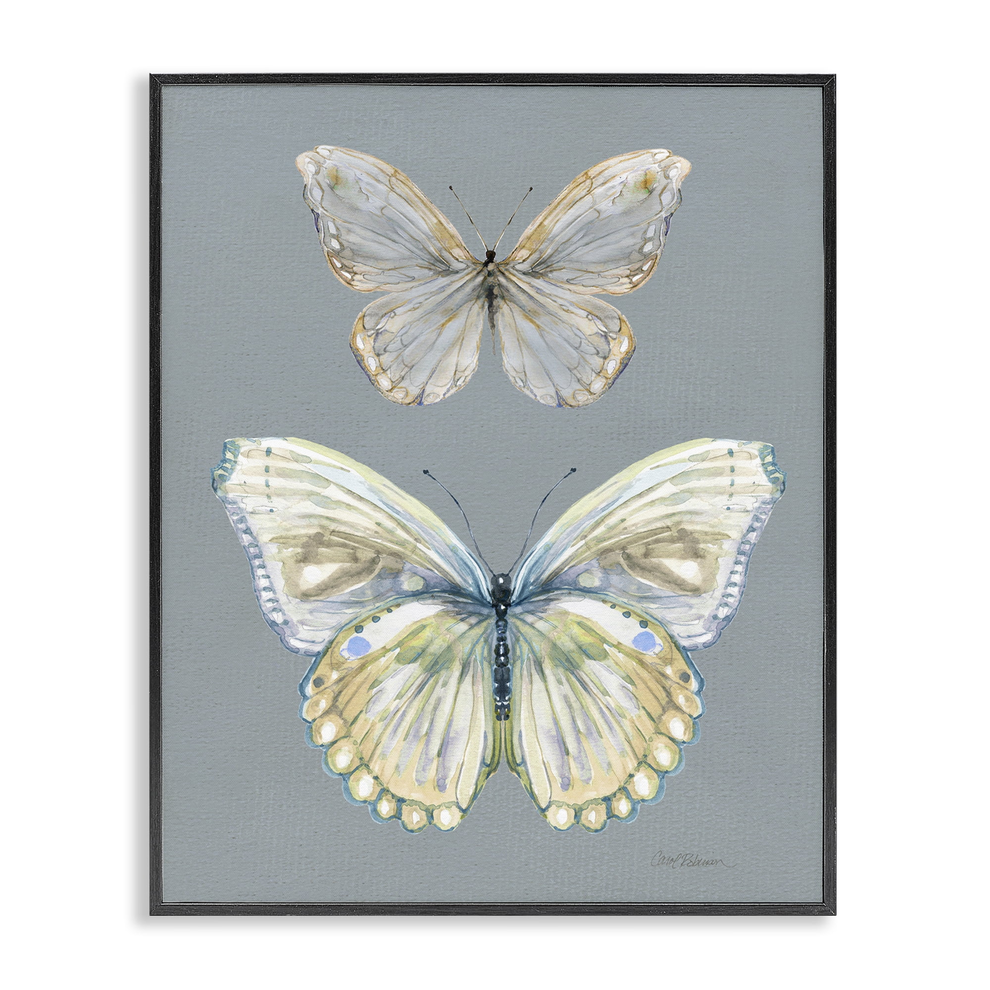 Stupell Industries Butterfly Pair Study Black Framed Giclee Art, design by Carol Robinson