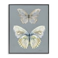 thumbnail image 1 of Stupell Industries Traditional Butterfly Pair Study Black Framed Giclee Art, 11 x 14, by Carol Robinson, 1 of 8