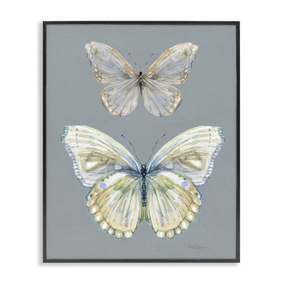 Stupell Industries Traditional Butterfly Pair Study Black Framed Giclee Art, 11 x 14, by Carol Robinson