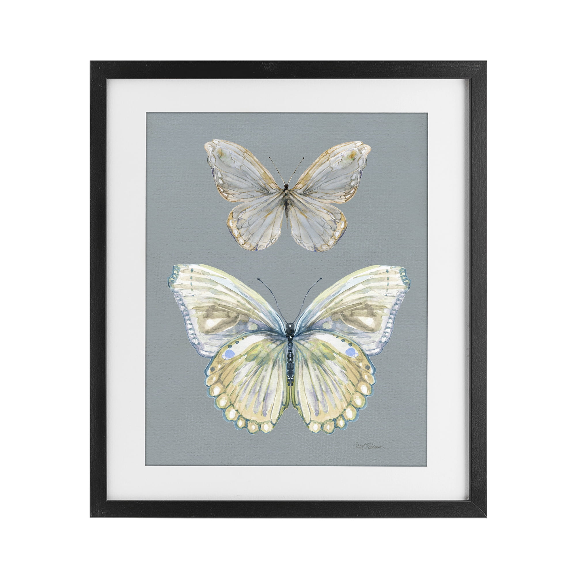Stupell Industries Butterfly Pair Study Black Framed Print Under Glass, design by Carol Robinson