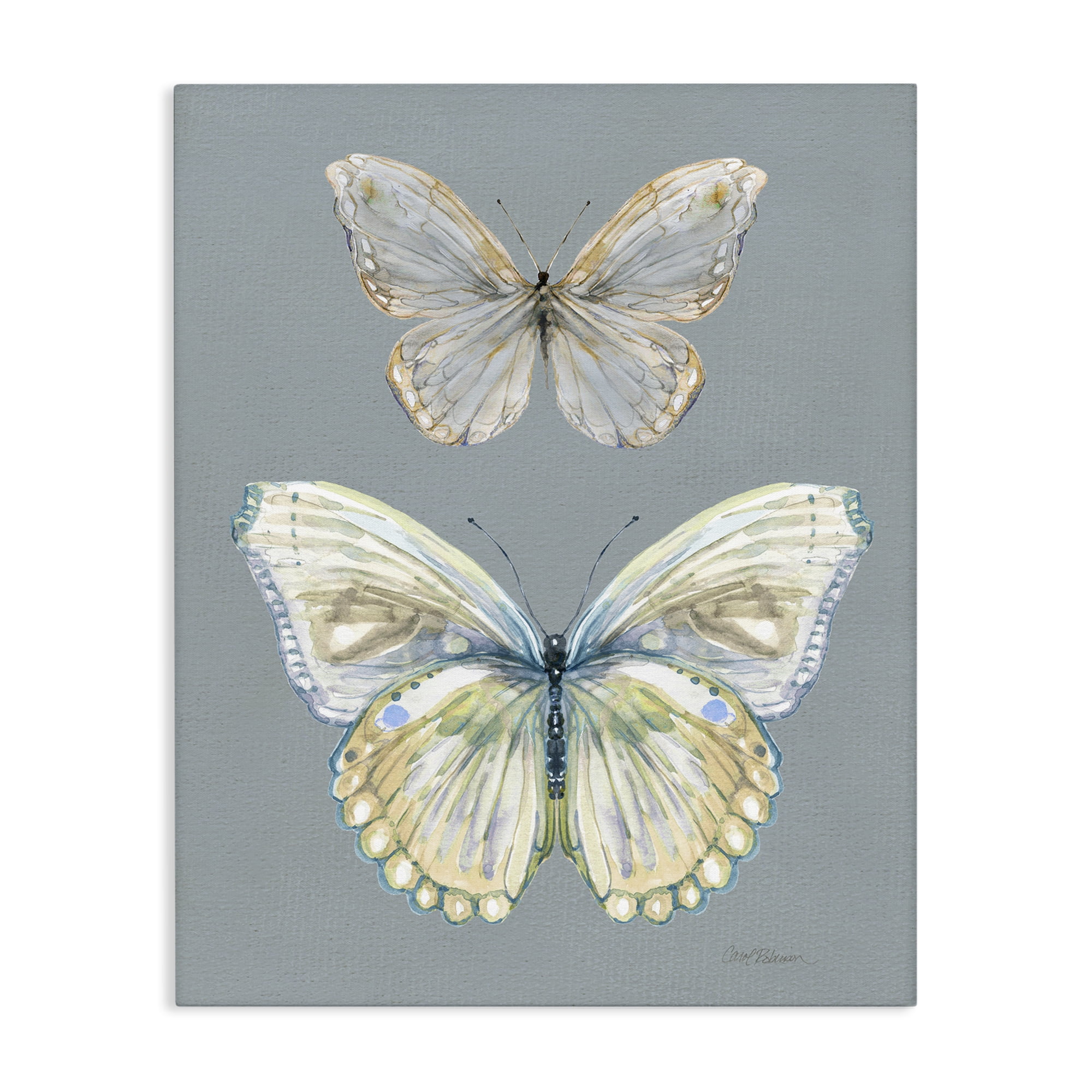 Stupell Industries Butterfly Pair Study Canvas Wall Art, design by Carol Robinson