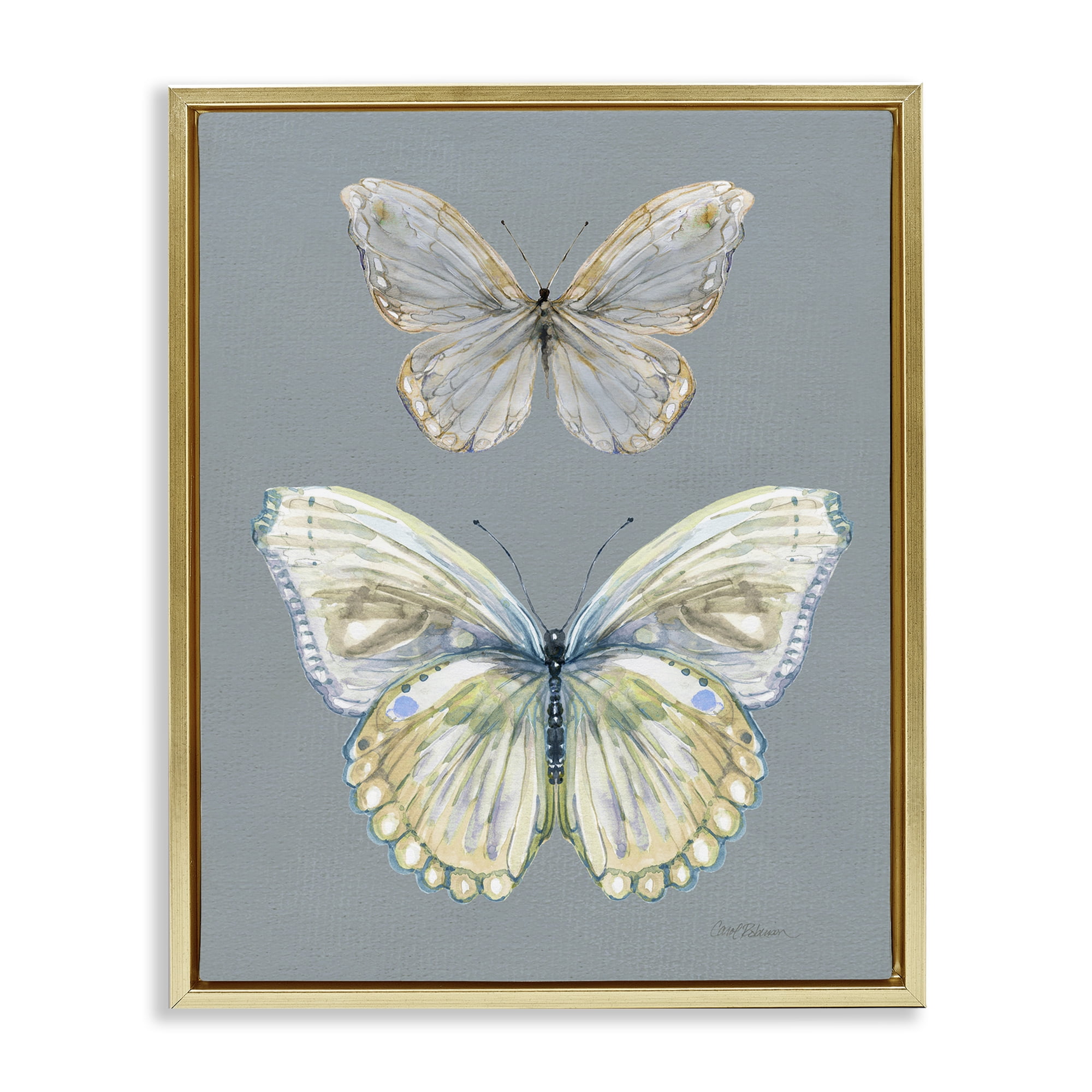 Stupell Industries Butterfly Pair Study Gold Framed Floater Canvas Wall Art, design by Carol Robinson
