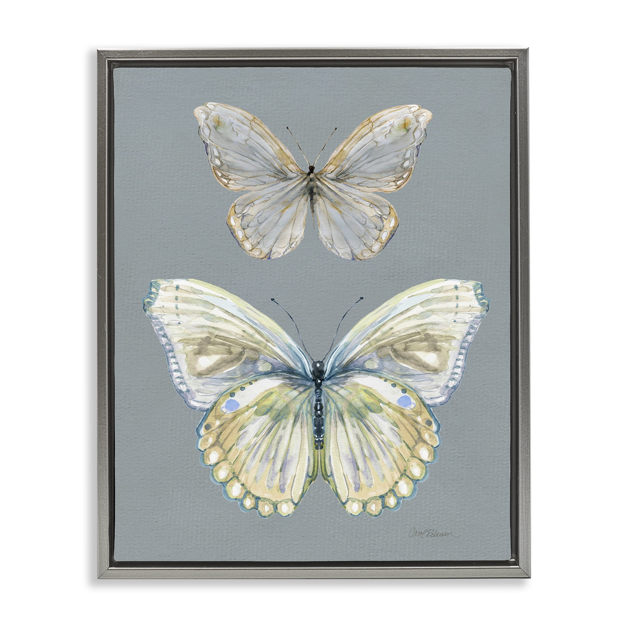 Stupell Industries Butterfly Pair Study Gray Framed Floater Canvas Wall Art, design by Carol Robinson
