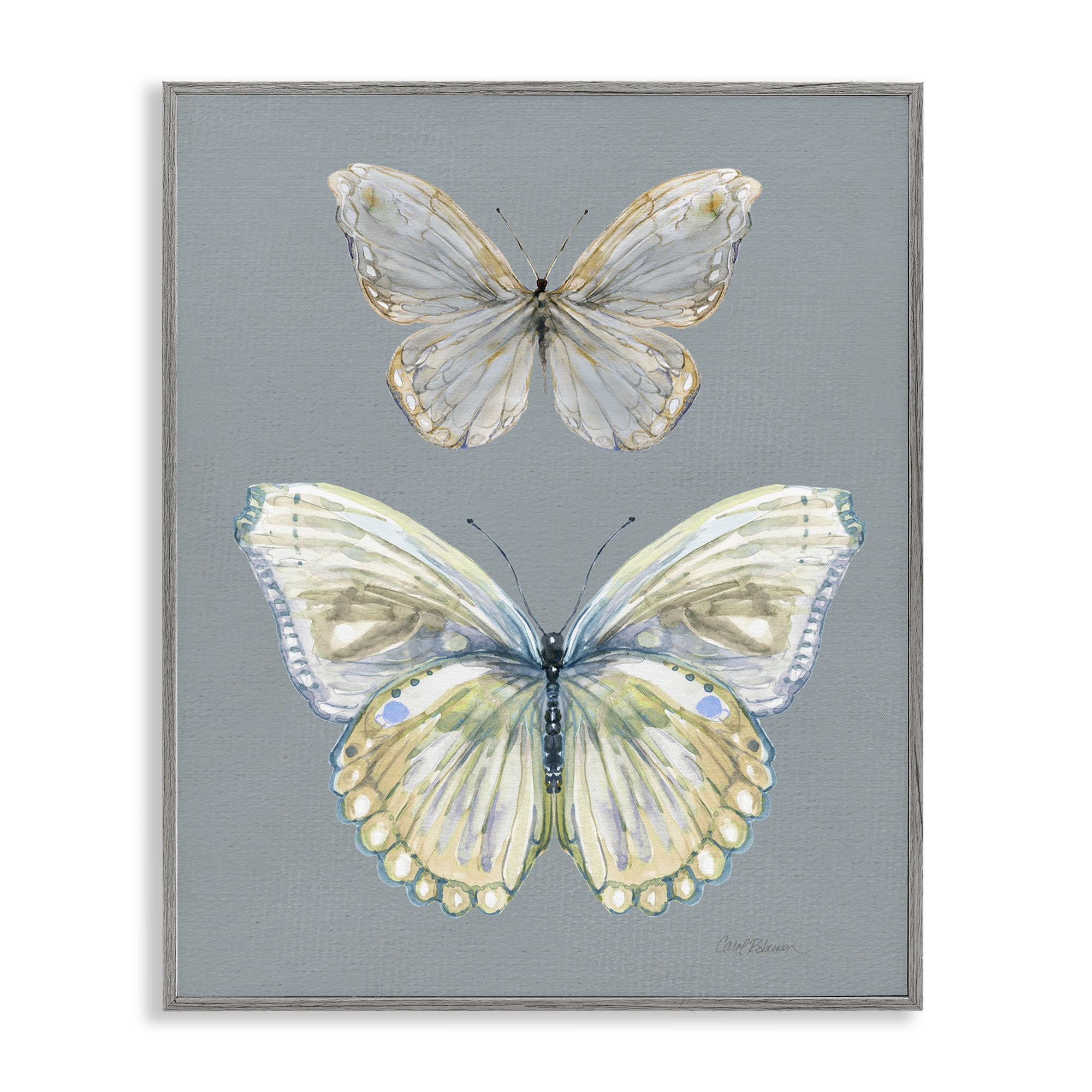 Stupell Industries Butterfly Pair Study Gray Framed Giclee Art, design by Carol Robinson