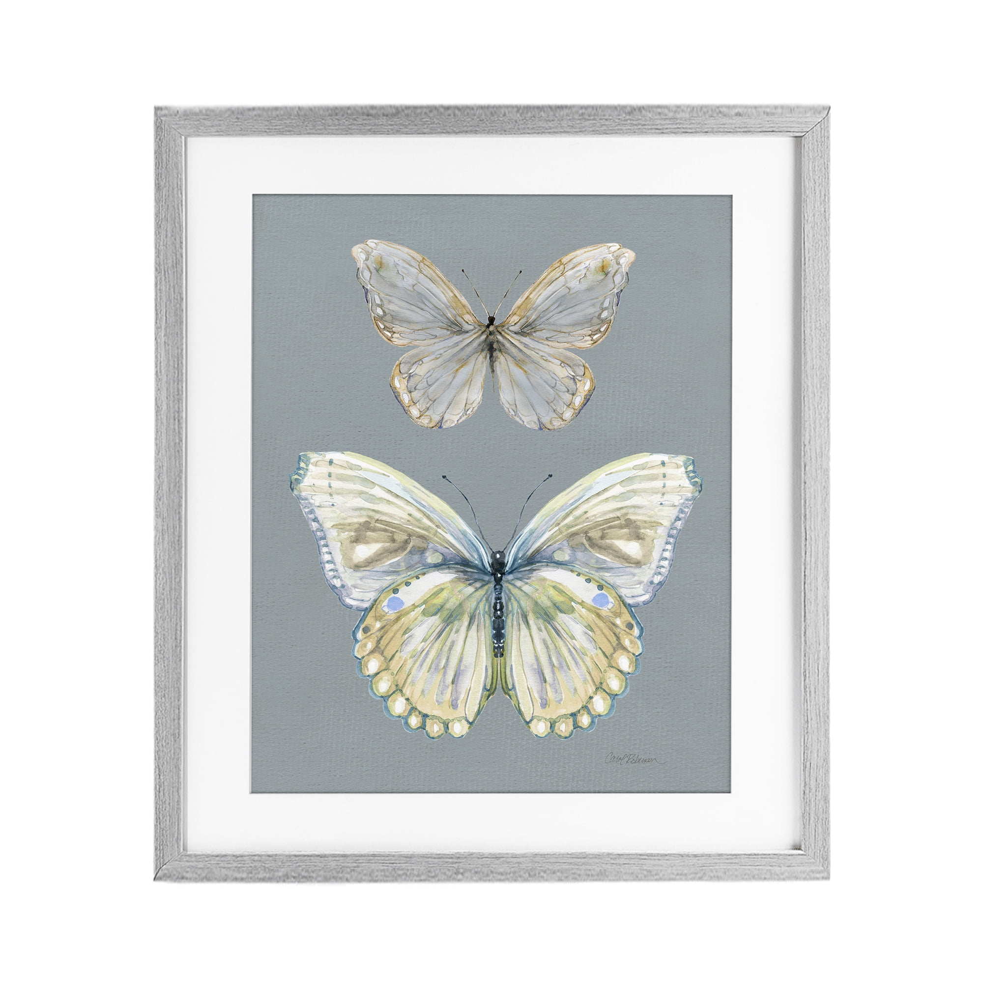 Stupell Industries Butterfly Pair Study Gray Framed Print Under Glass, design by Carol Robinson