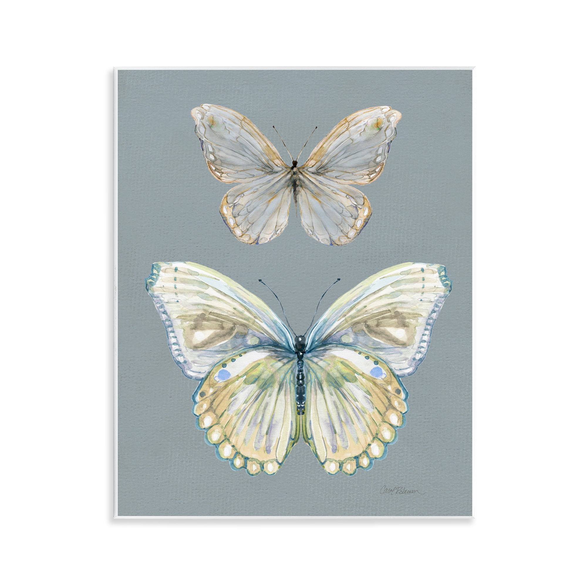 Stupell Industries Butterfly Pair Study Wall Plaque Art, design by Carol Robinson
