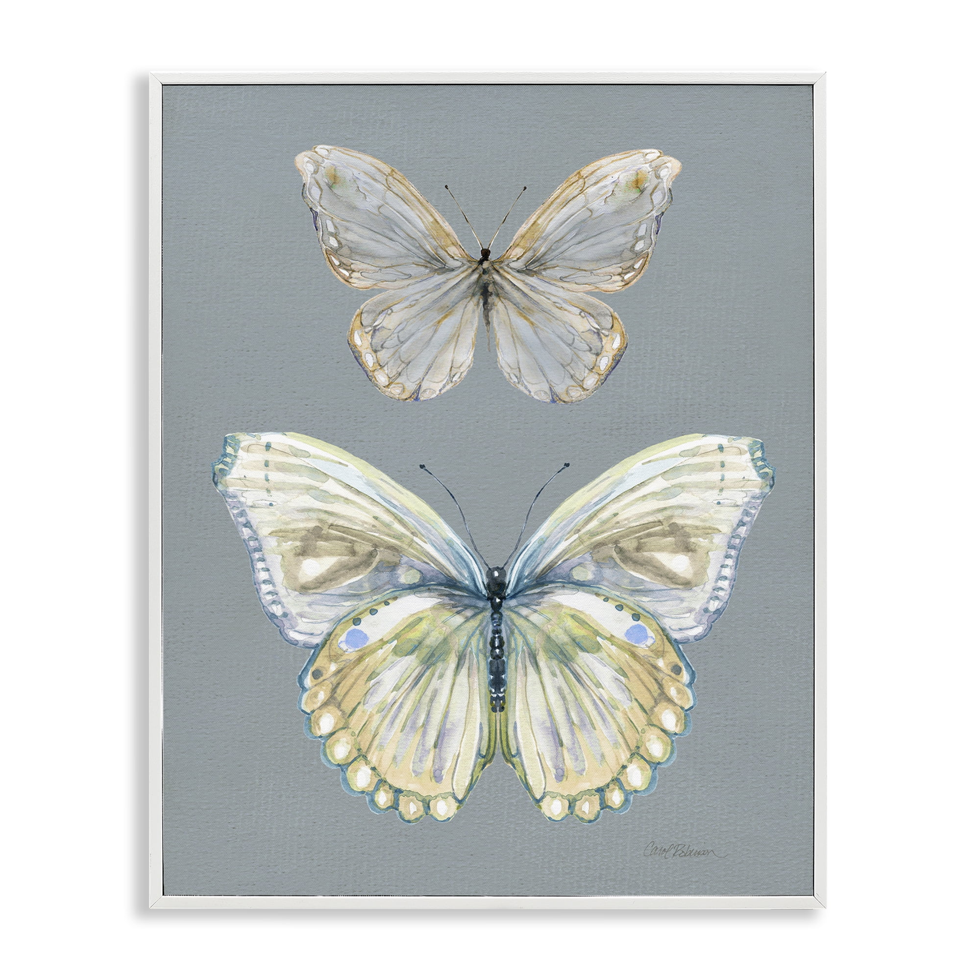 Stupell Industries Butterfly Pair Study White Framed Giclee Art, design by Carol Robinson