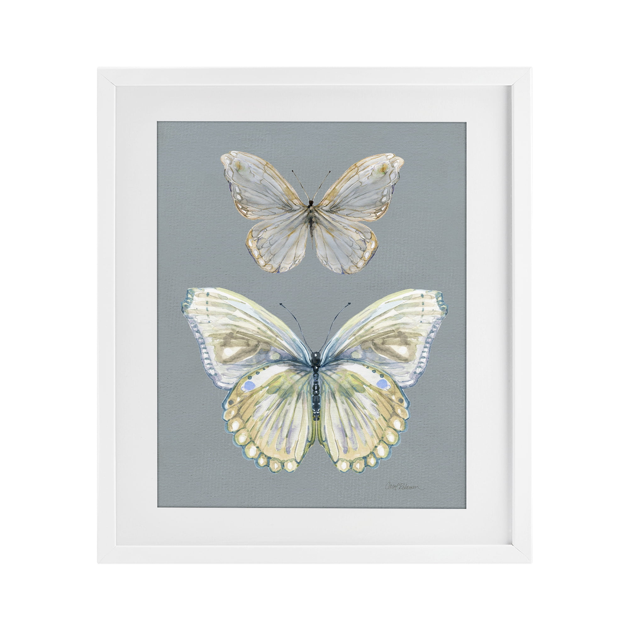 Stupell Industries Butterfly Pair Study White Framed Print Under Glass, design by Carol Robinson