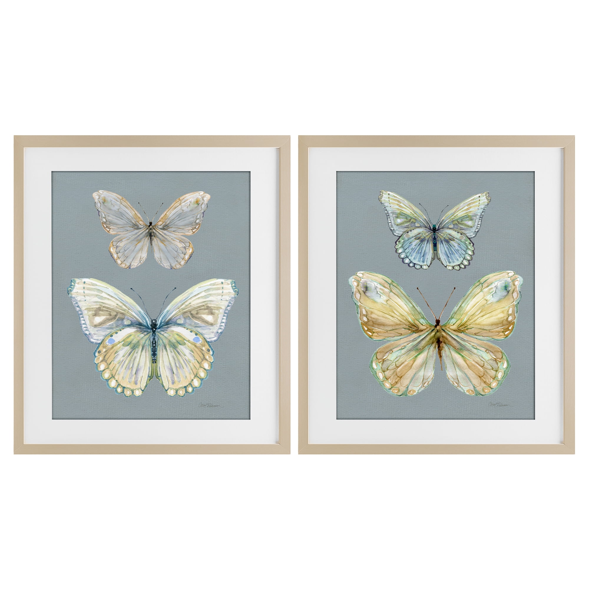 Stupell Industries Butterfly Pairs over Slate 2 Piece Birch Framed Print Under Glass Set, design by Carol Robinson