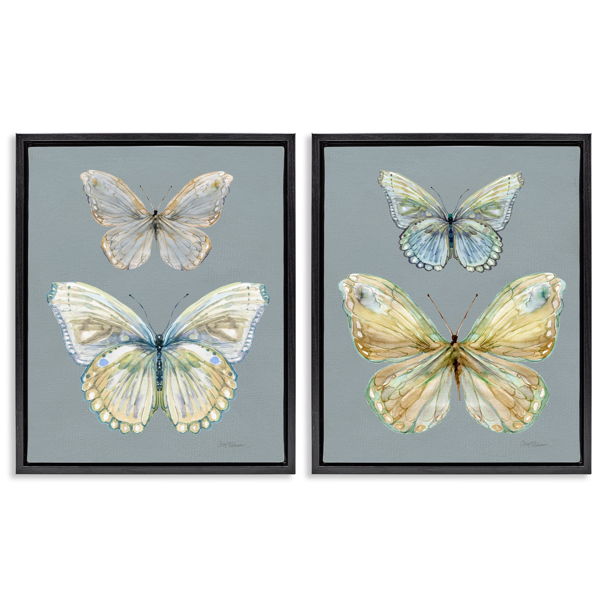 Stupell Industries Butterfly Pairs over Slate 2 Piece Black Framed Floater Canvas Set, design by Carol Robinson
