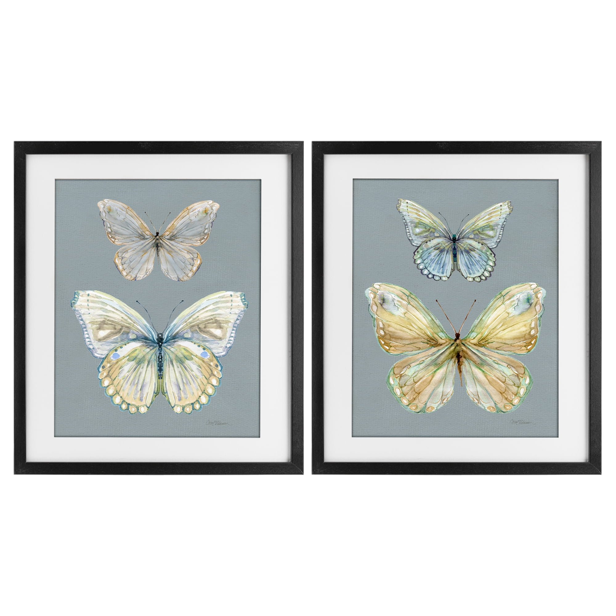 Stupell Industries Butterfly Pairs over Slate 2 Piece Black Framed Print Under Glass Set, design by Carol Robinson
