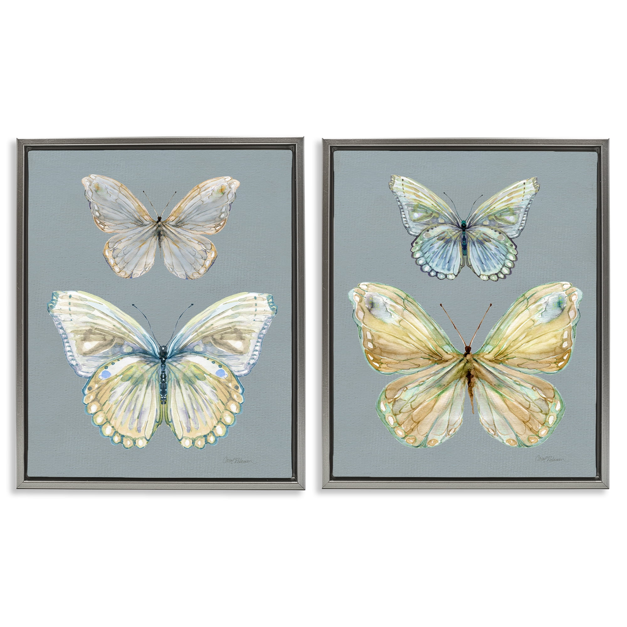 Stupell Industries Butterfly Pairs over Slate 2 Piece Gray Framed Floater Canvas Set, design by Carol Robinson