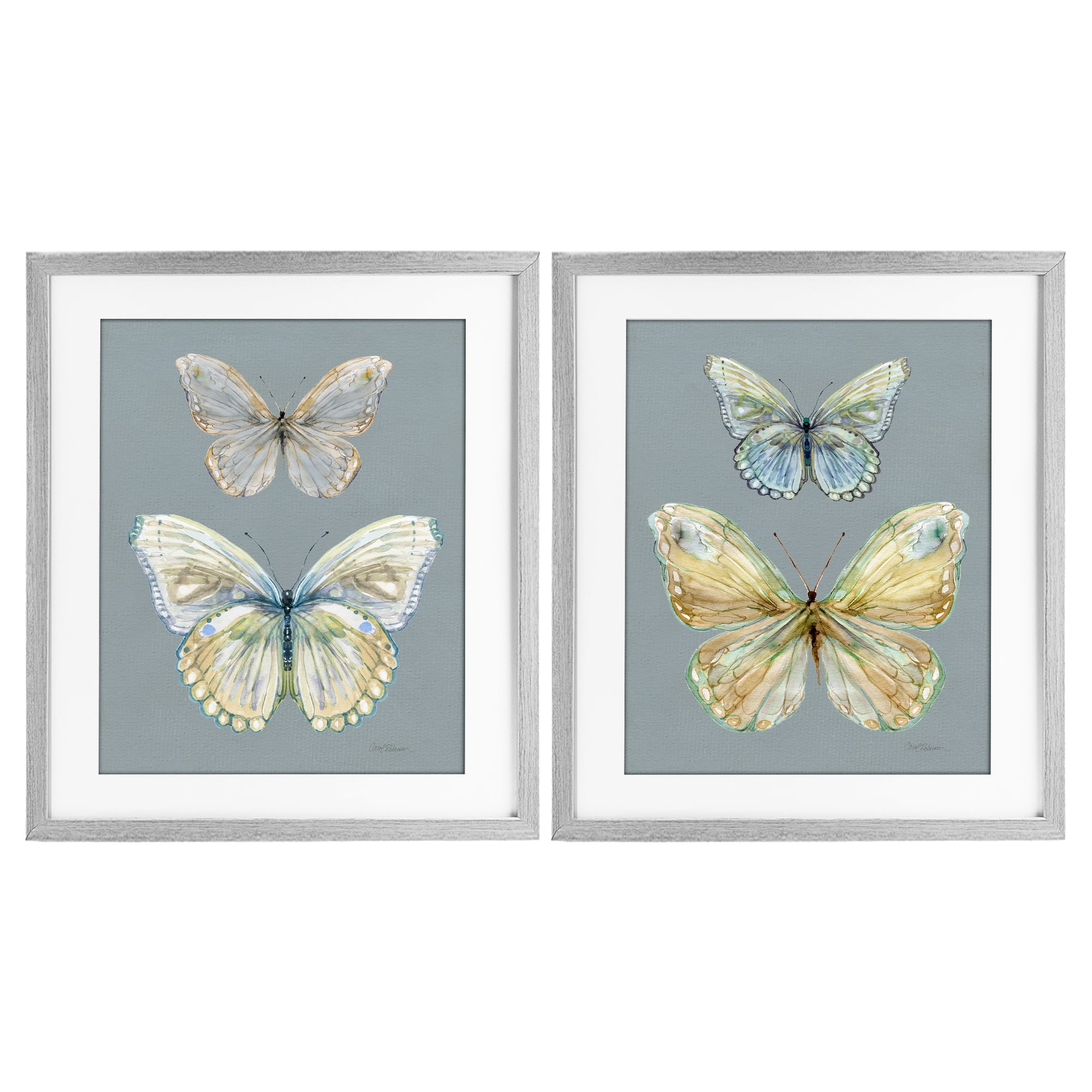 Stupell Industries Butterfly Pairs over Slate 2 Piece Gray Framed Print Under Glass Set, design by Carol Robinson