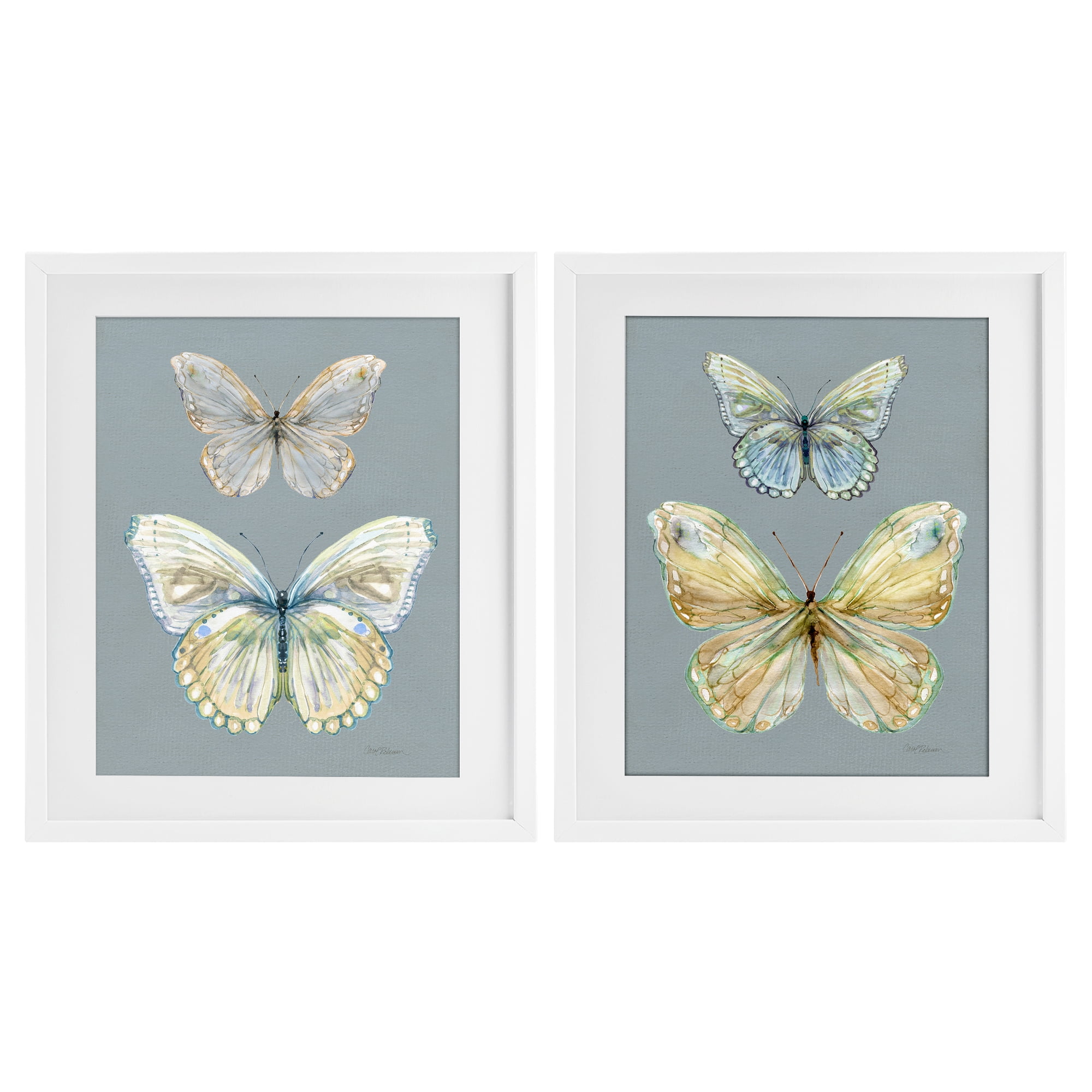 Stupell Industries Butterfly Pairs over Slate 2 Piece White Framed Print Under Glass Set, design by Carol Robinson