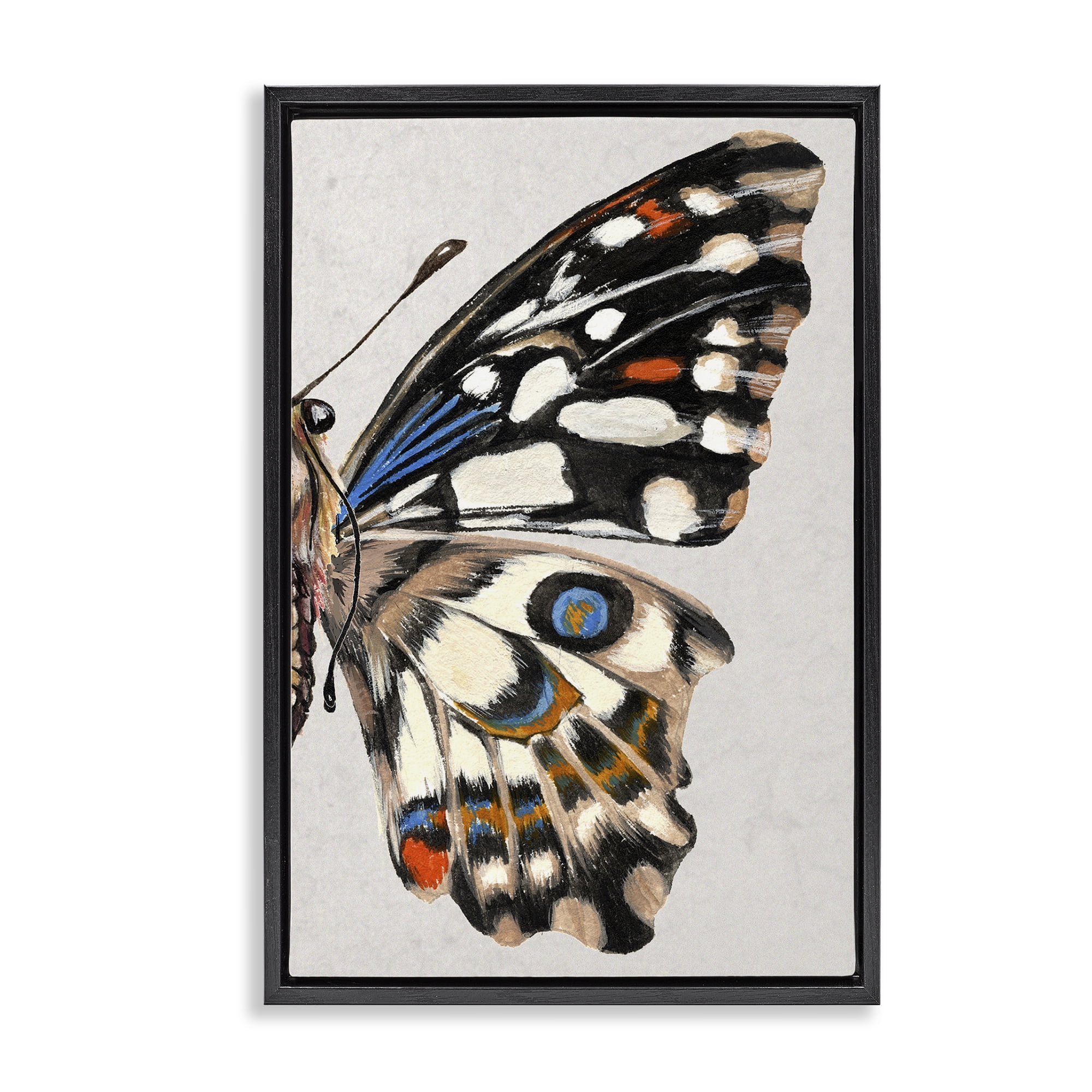 Stupell Industries Butterfly Wing with Spots Animals & Insects Painting Black Floater Framed Canvas Art Print Wall Art, 21 x 31