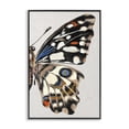 thumbnail image 1 of Stupell Industries Butterfly Wing with Spots Animals & Insects Painting Black Framed Art Print Wall Art, 20 x 30, 1 of 10