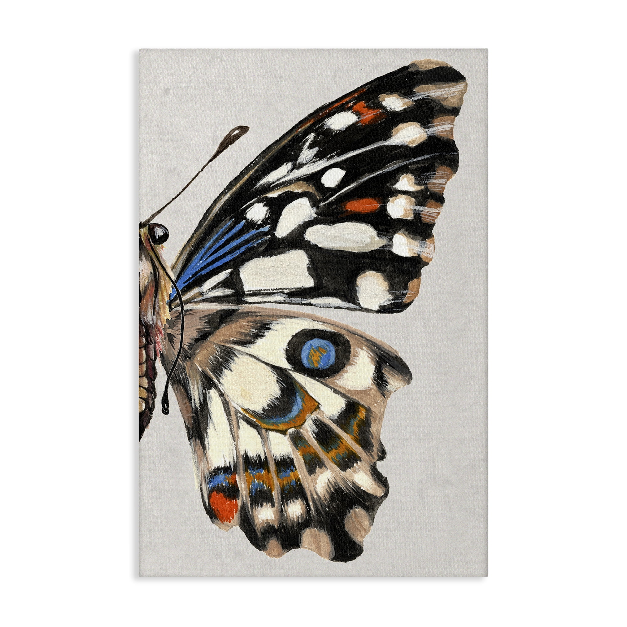 Stupell Industries Butterfly Wing with Spots Animals & Insects Painting Gallery Wrapped Canvas Art Print Wall Art, 16 x 24